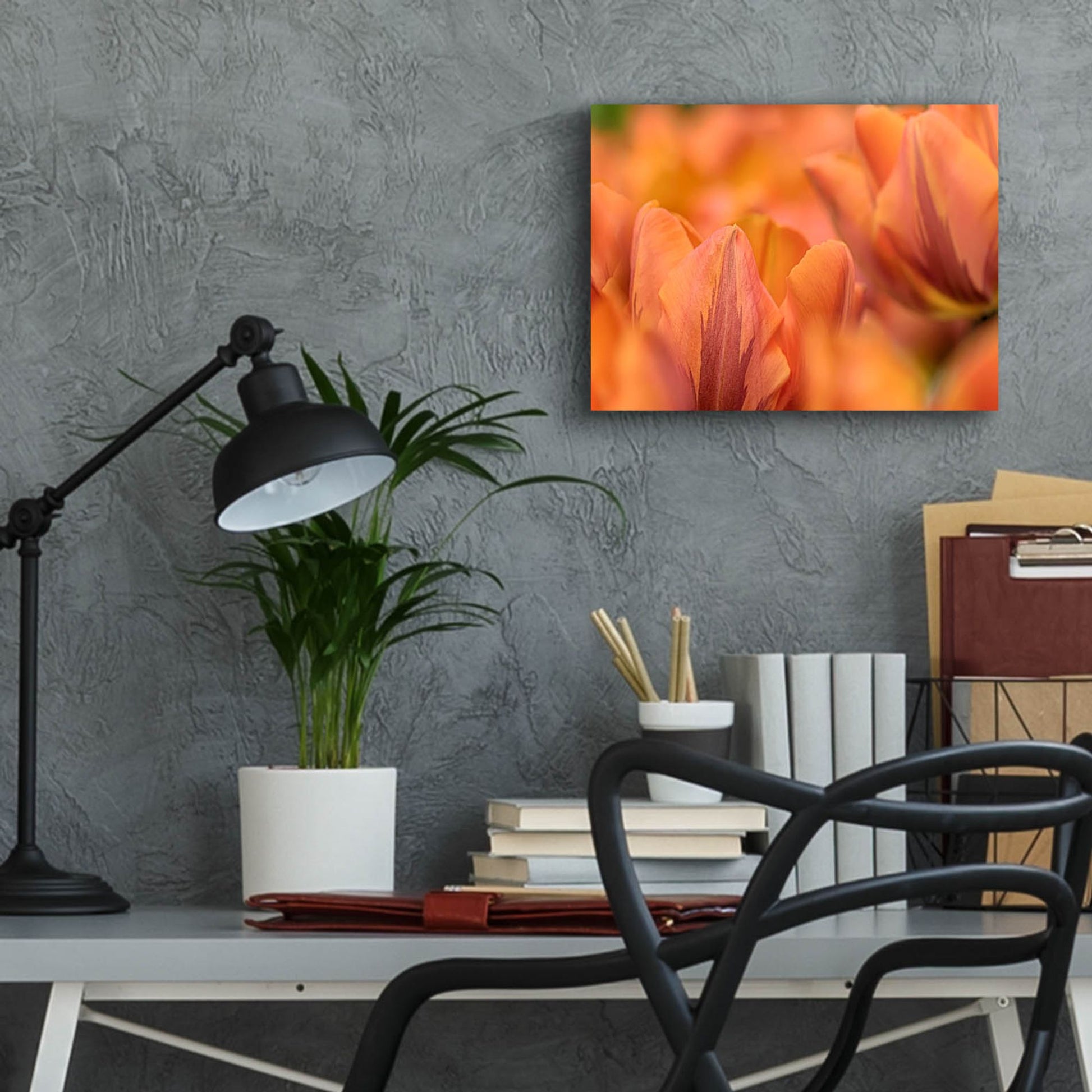 Epic Art 'Orange Tulips' by Cora Niele, Acrylic Glass Wall Art,16x12