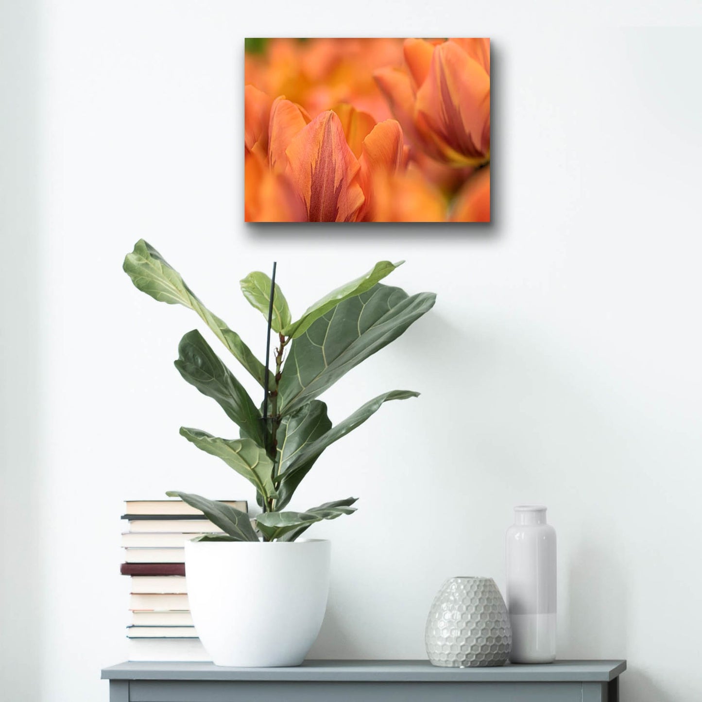 Epic Art 'Orange Tulips' by Cora Niele, Acrylic Glass Wall Art,16x12