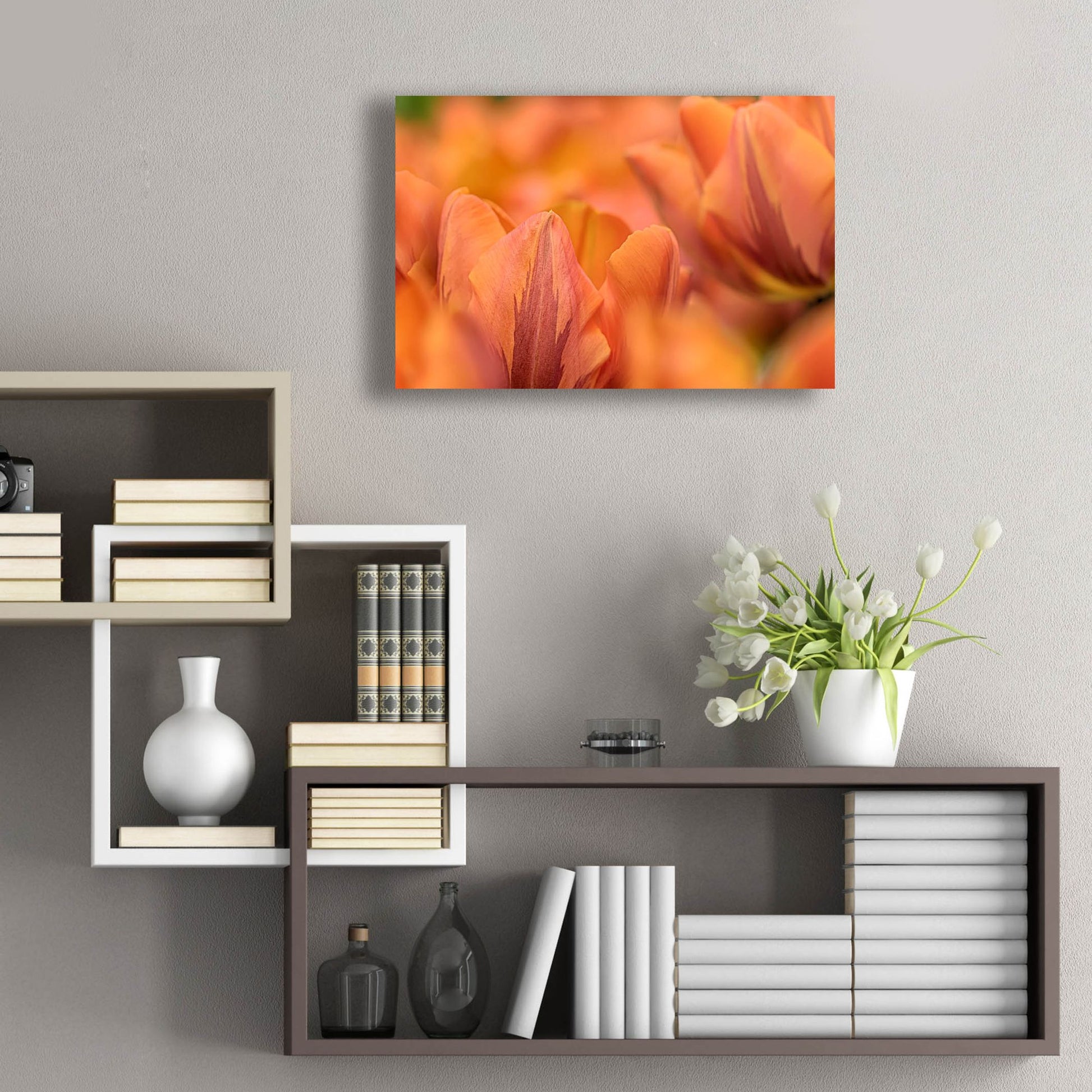 Epic Art 'Orange Tulips' by Cora Niele, Acrylic Glass Wall Art,24x16