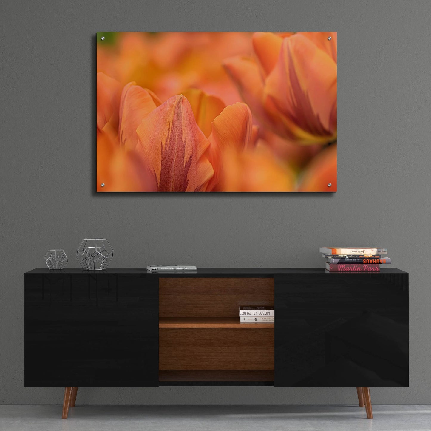 Epic Art 'Orange Tulips' by Cora Niele, Acrylic Glass Wall Art,36x24