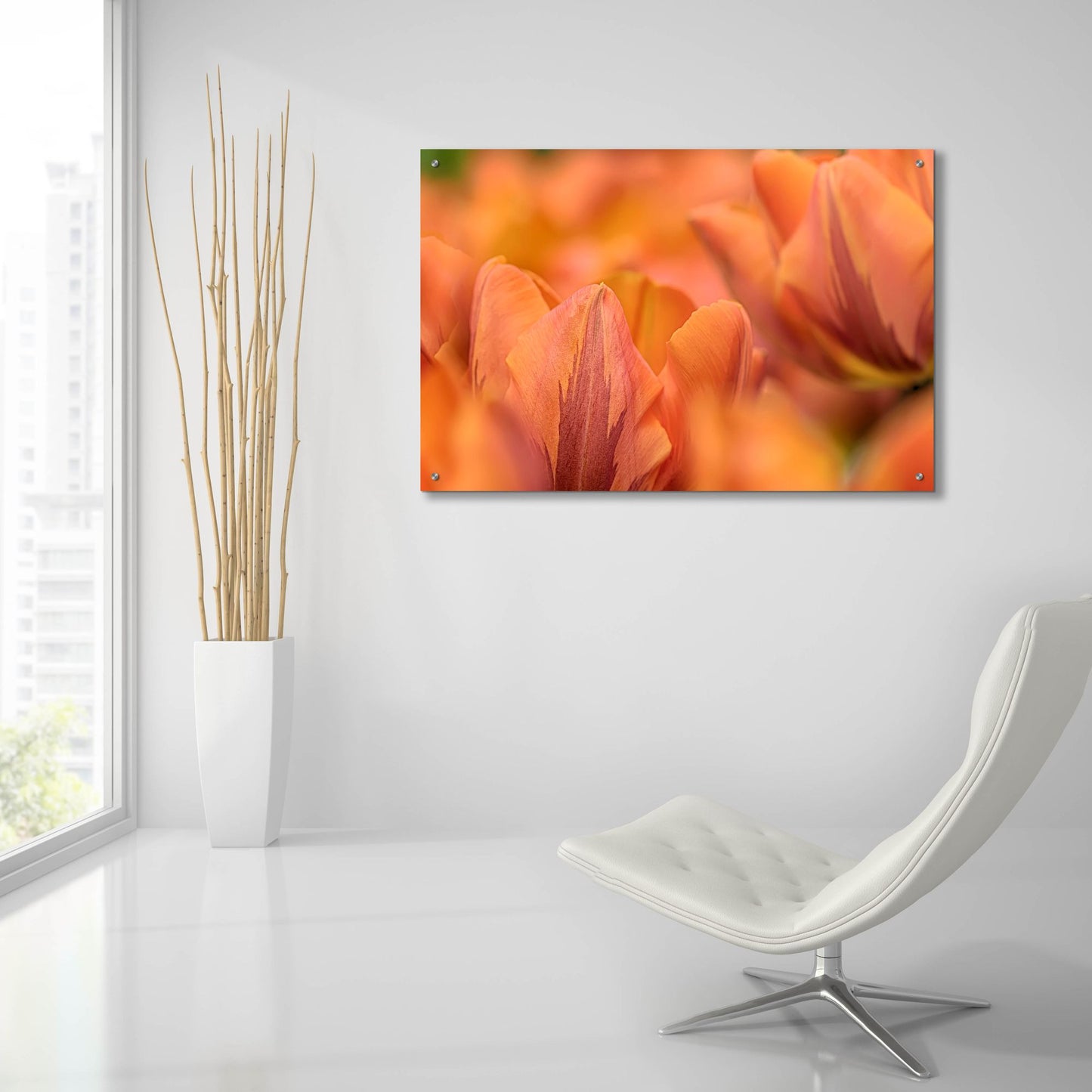 Epic Art 'Orange Tulips' by Cora Niele, Acrylic Glass Wall Art,36x24