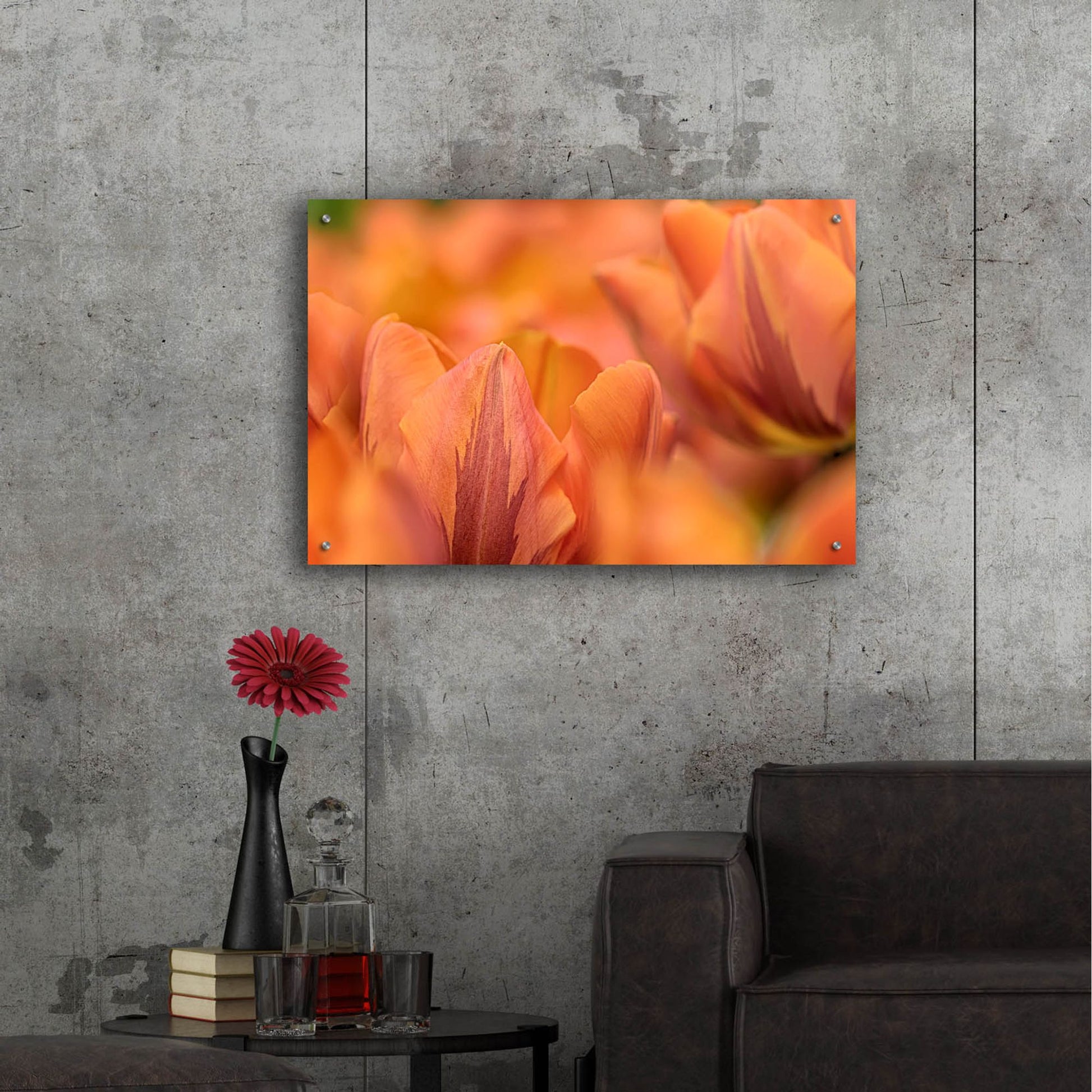 Epic Art 'Orange Tulips' by Cora Niele, Acrylic Glass Wall Art,36x24