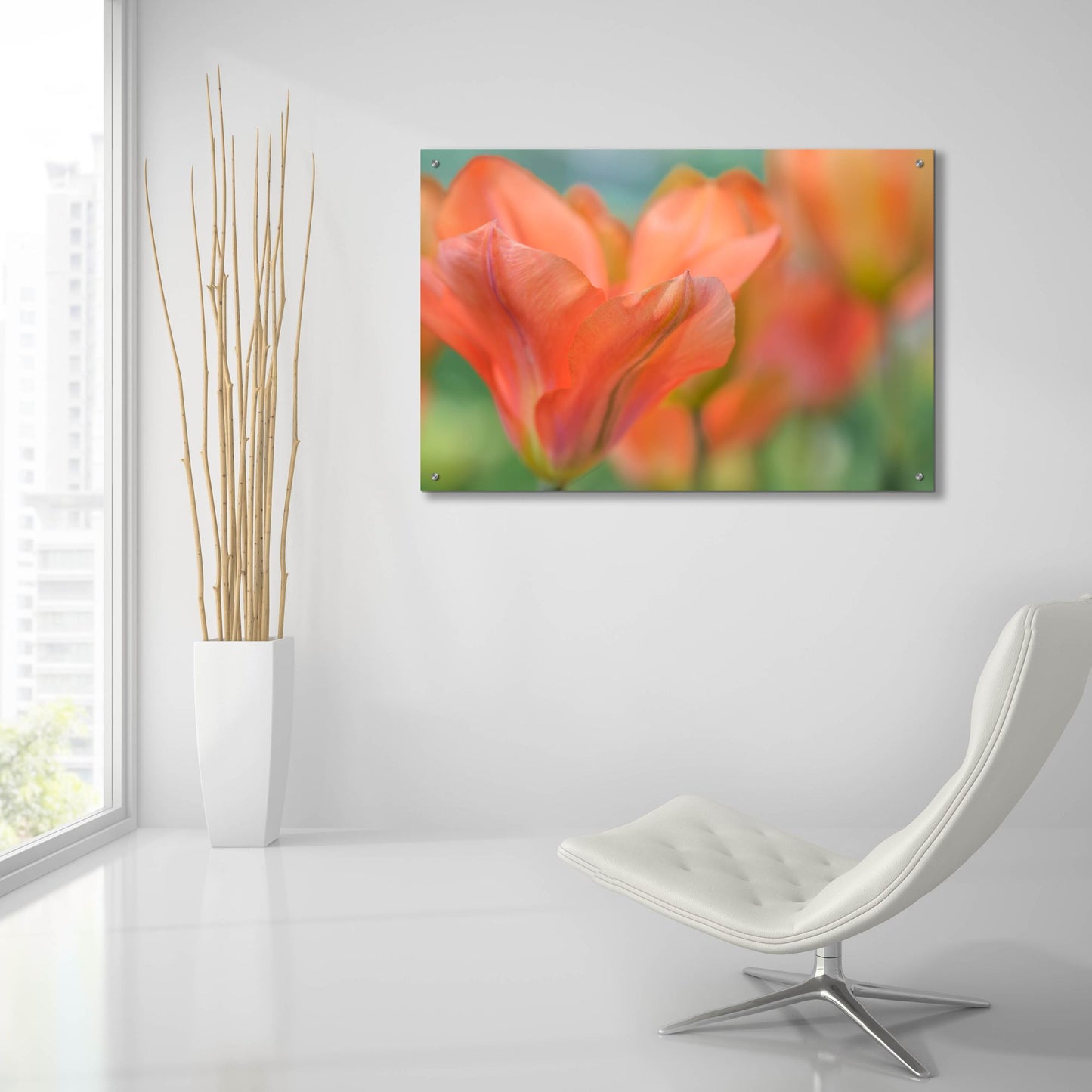 Epic Art 'Orange Wings Tuilps' by Cora Niele, Acrylic Glass Wall Art,36x24