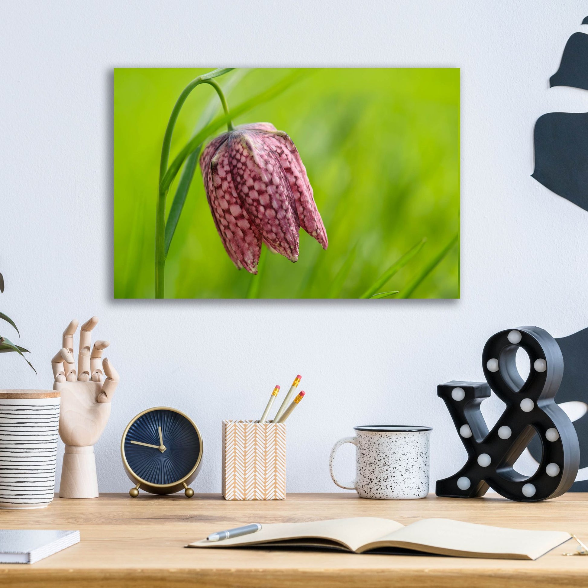 Epic Art 'Snake's Head Fritillary Flower' by Cora Niele, Acrylic Glass Wall Art,16x12