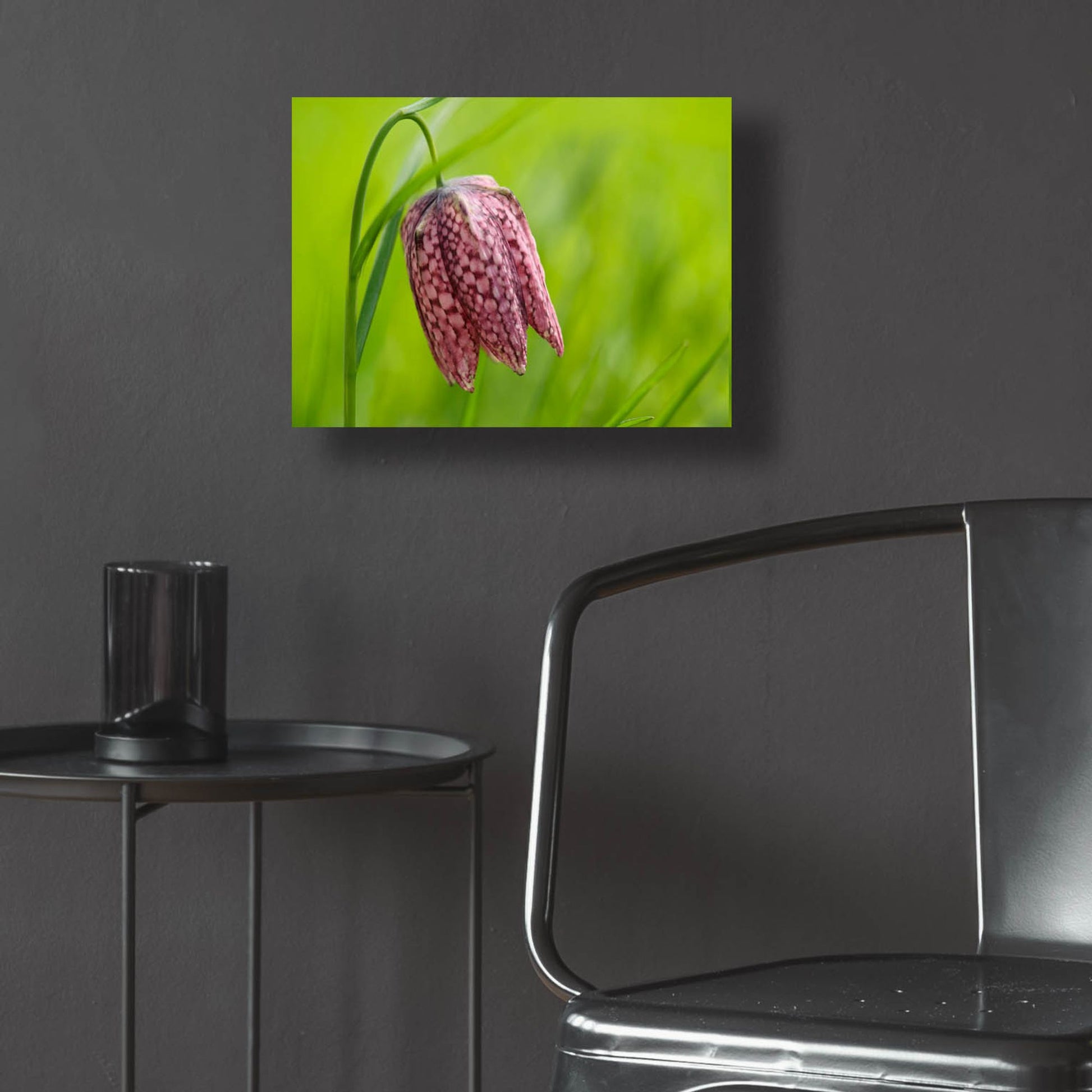 Epic Art 'Snake's Head Fritillary Flower' by Cora Niele, Acrylic Glass Wall Art,16x12