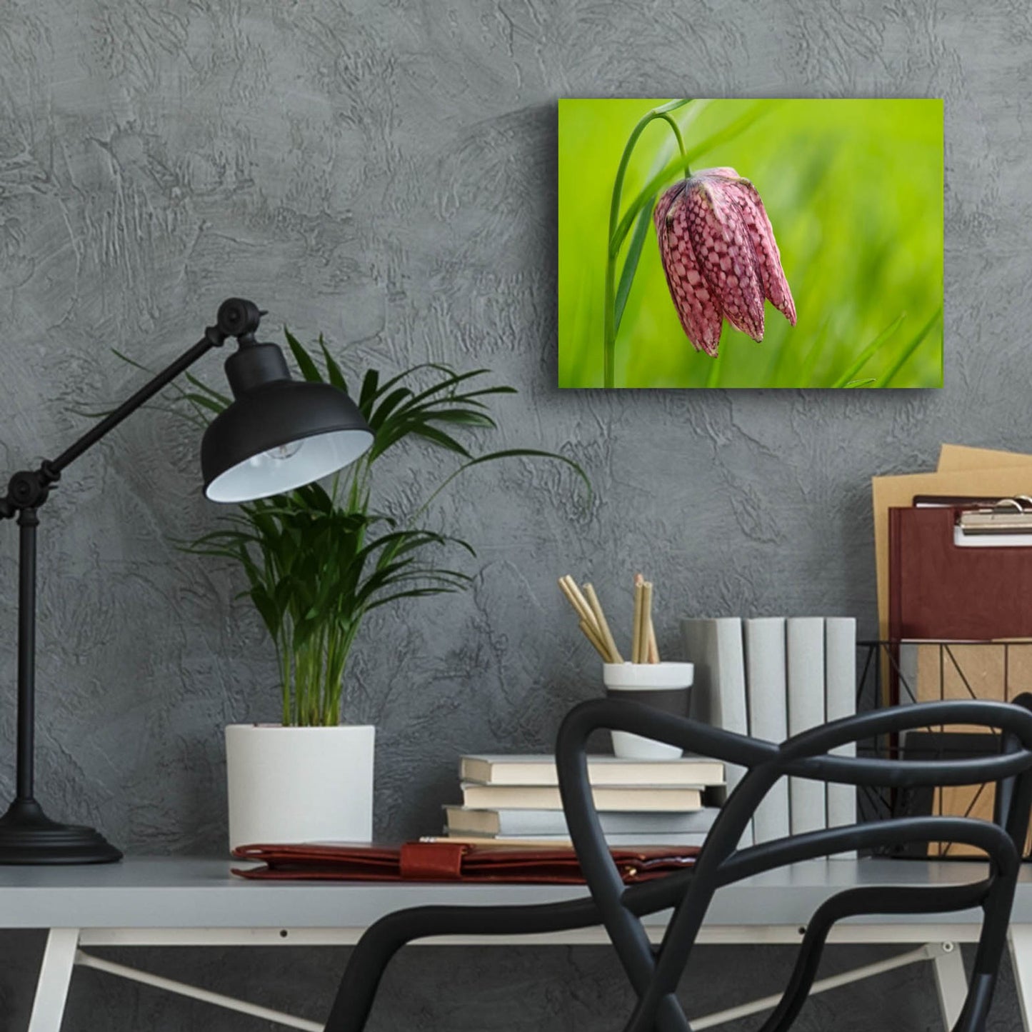 Epic Art 'Snake's Head Fritillary Flower' by Cora Niele, Acrylic Glass Wall Art,16x12