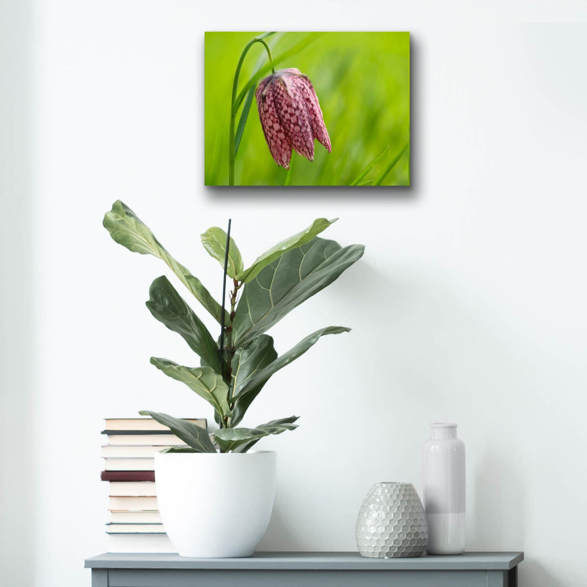 Epic Art 'Snake's Head Fritillary Flower' by Cora Niele, Acrylic Glass Wall Art,16x12