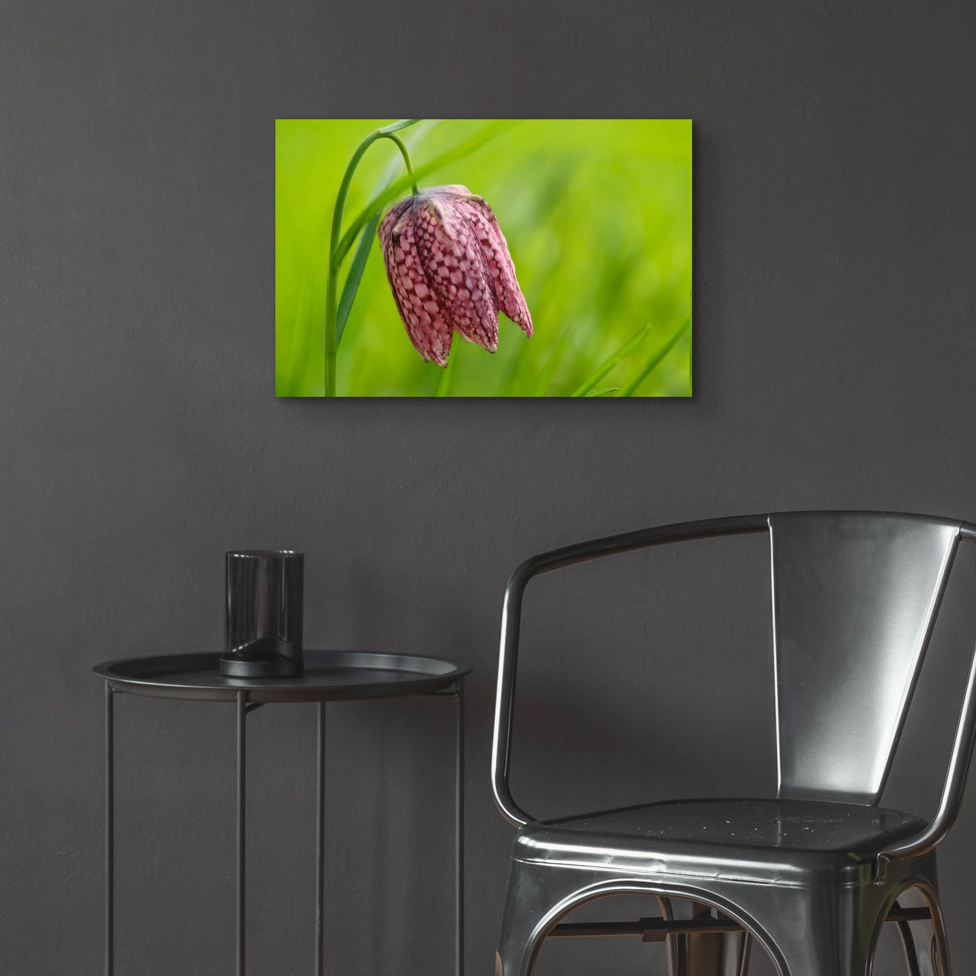 Epic Art 'Snake's Head Fritillary Flower' by Cora Niele, Acrylic Glass Wall Art,24x16