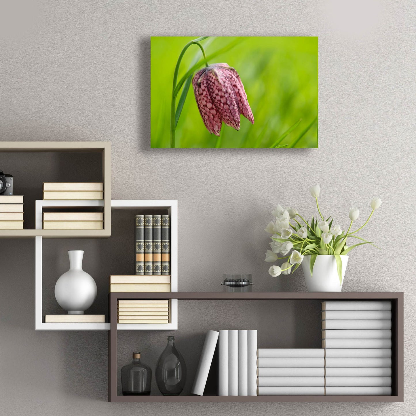 Epic Art 'Snake's Head Fritillary Flower' by Cora Niele, Acrylic Glass Wall Art,24x16