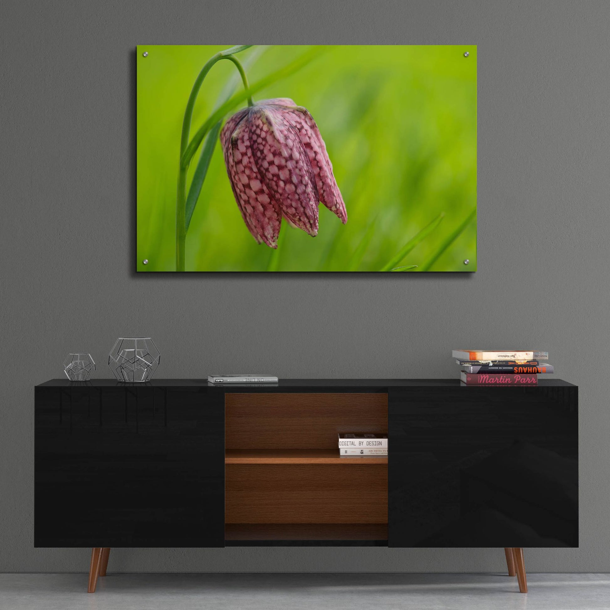 Epic Art 'Snake's Head Fritillary Flower' by Cora Niele, Acrylic Glass Wall Art,36x24