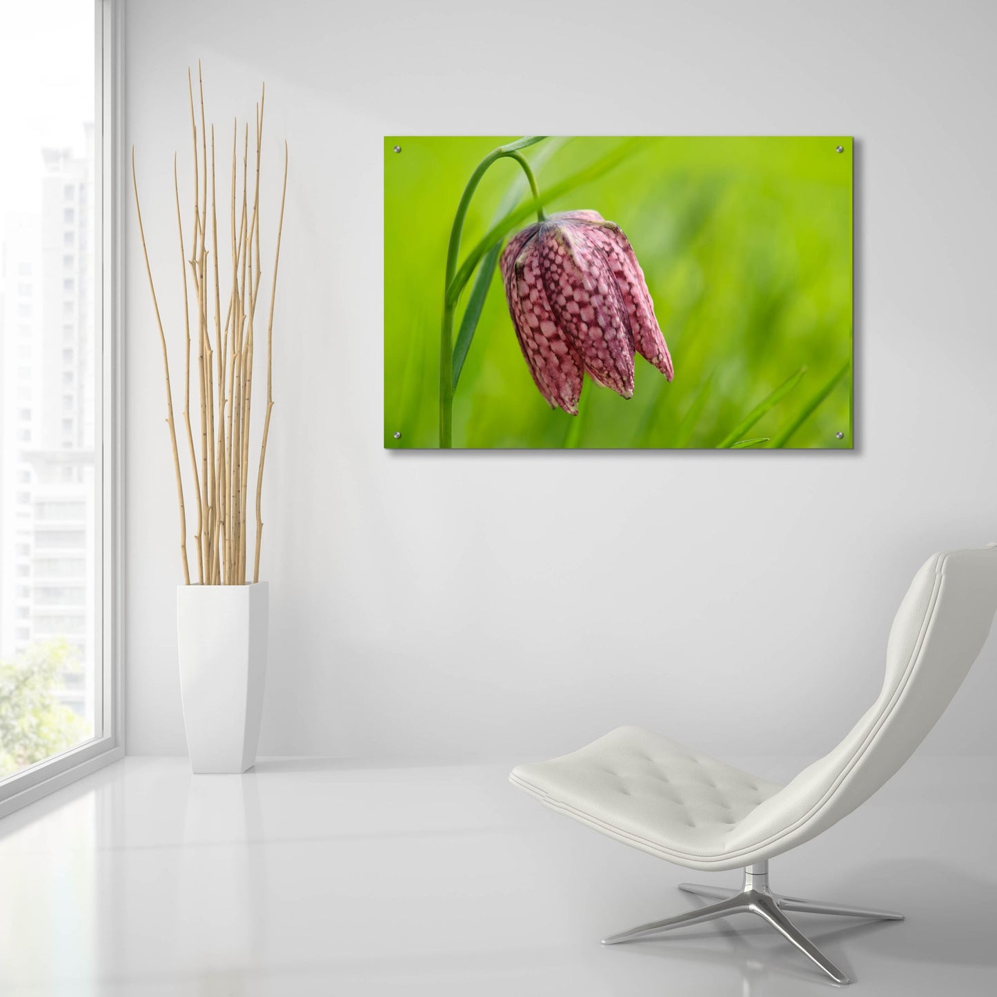 Epic Art 'Snake's Head Fritillary Flower' by Cora Niele, Acrylic Glass Wall Art,36x24