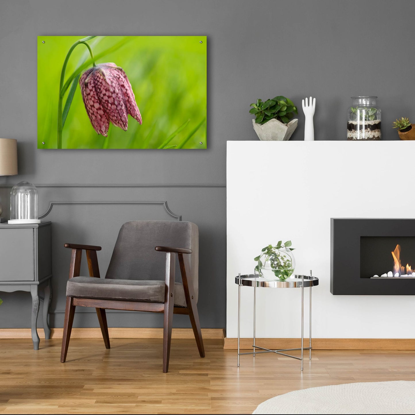 Epic Art 'Snake's Head Fritillary Flower' by Cora Niele, Acrylic Glass Wall Art,36x24