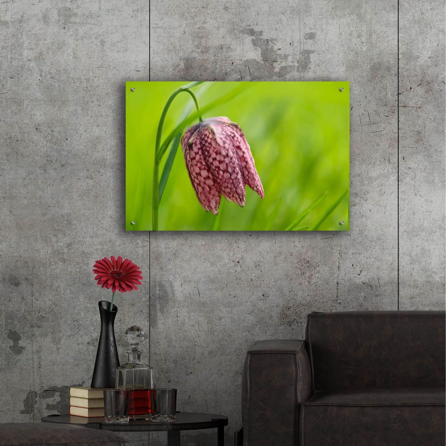 Epic Art 'Snake's Head Fritillary Flower' by Cora Niele, Acrylic Glass Wall Art,36x24