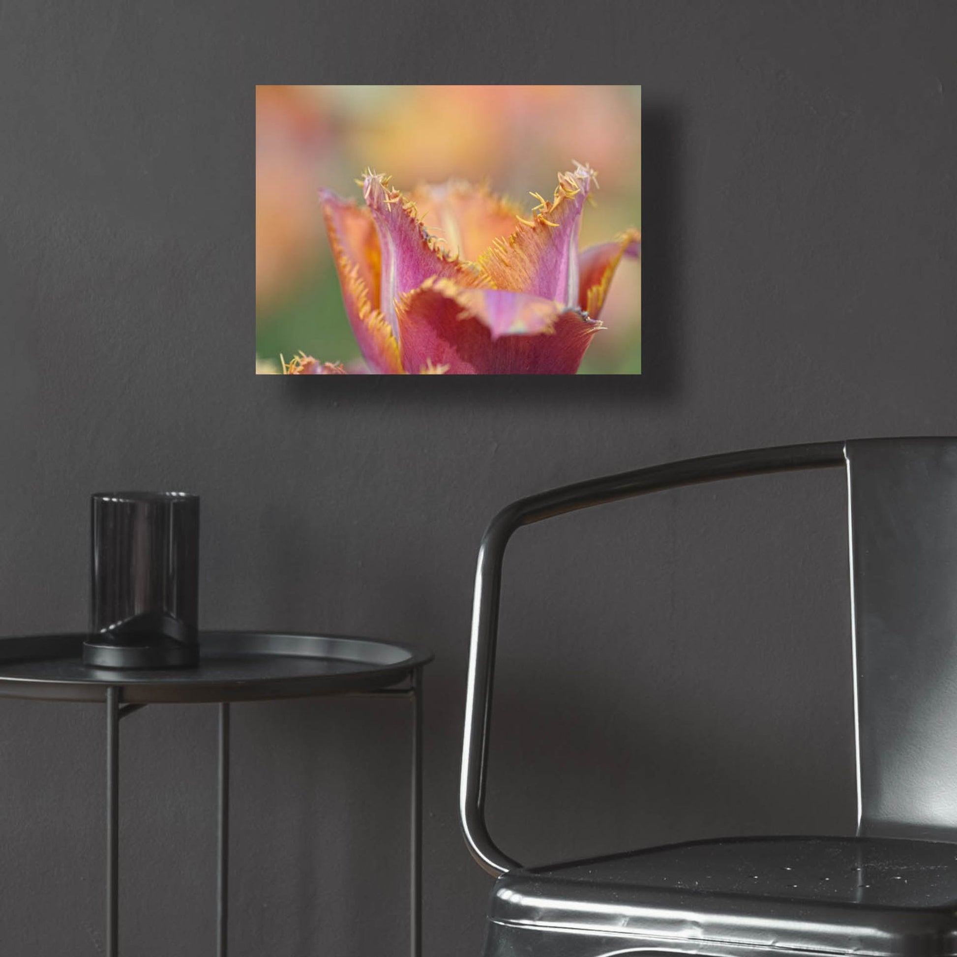 Epic Art 'Tulip Crispa' by Cora Niele, Acrylic Glass Wall Art,16x12