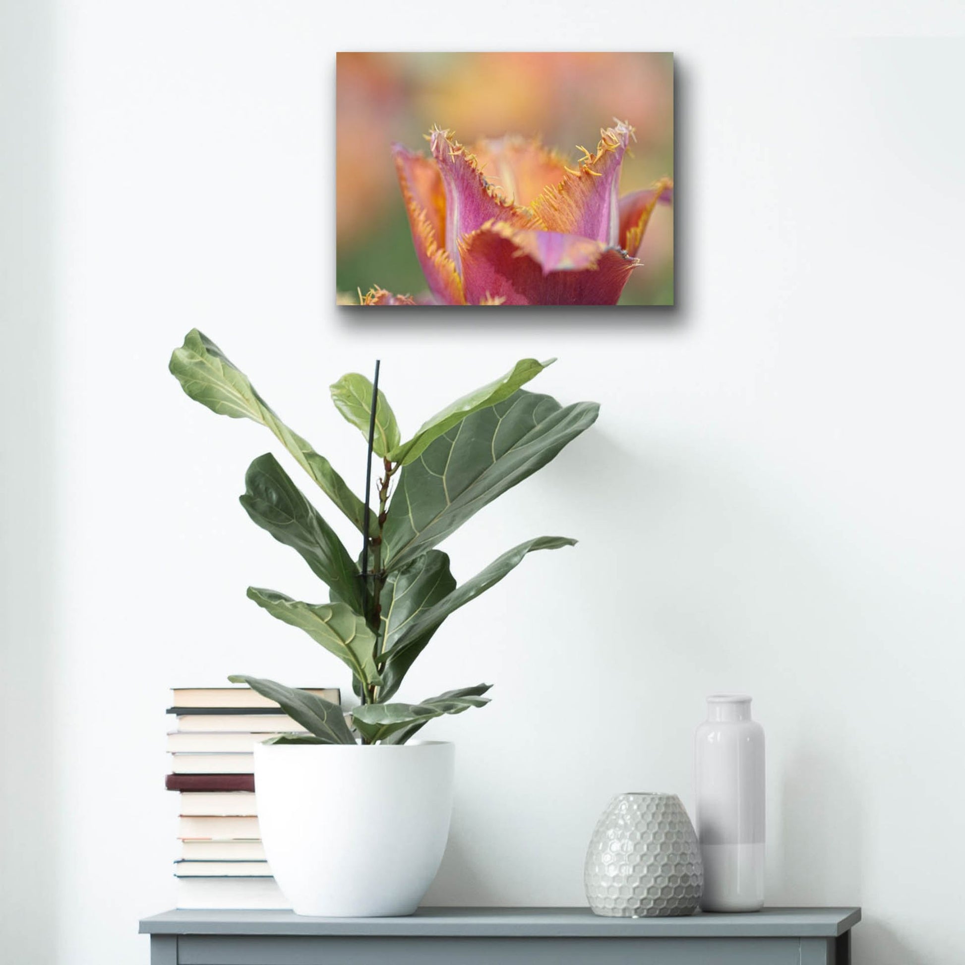 Epic Art 'Tulip Crispa' by Cora Niele, Acrylic Glass Wall Art,16x12