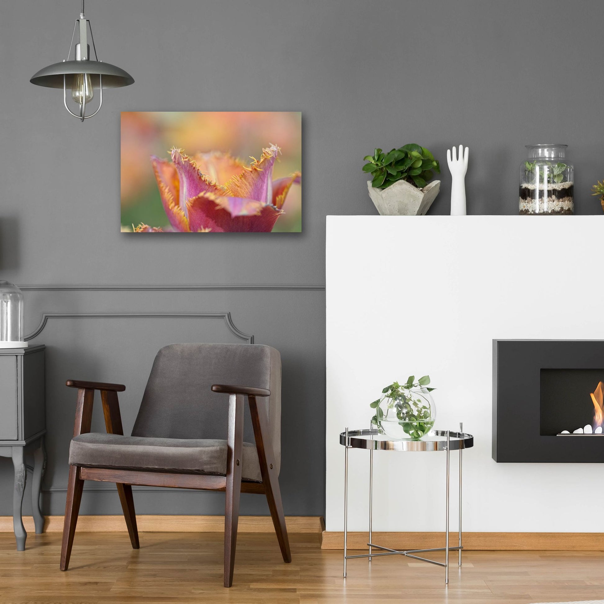 Epic Art 'Tulip Crispa' by Cora Niele, Acrylic Glass Wall Art,24x16