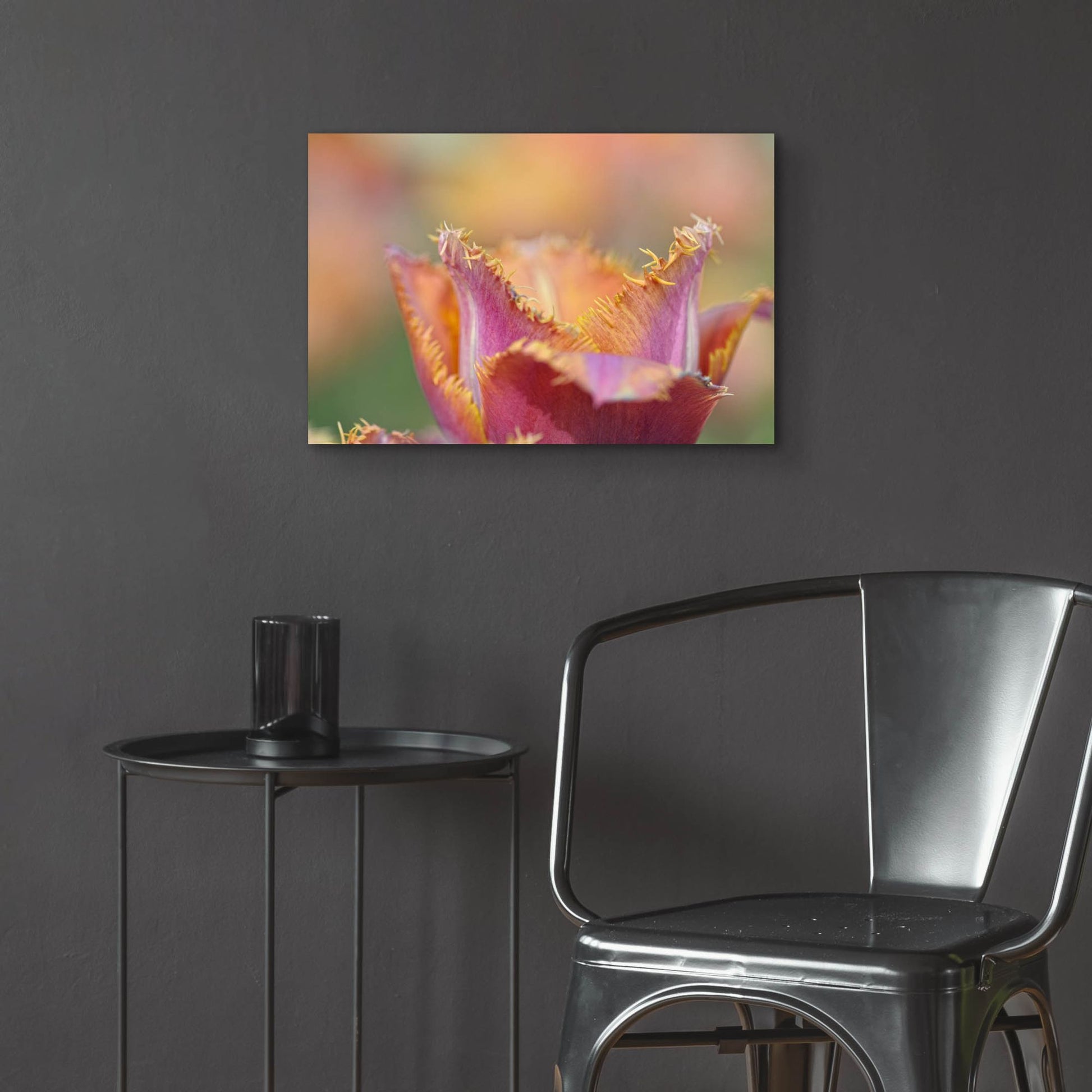 Epic Art 'Tulip Crispa' by Cora Niele, Acrylic Glass Wall Art,24x16