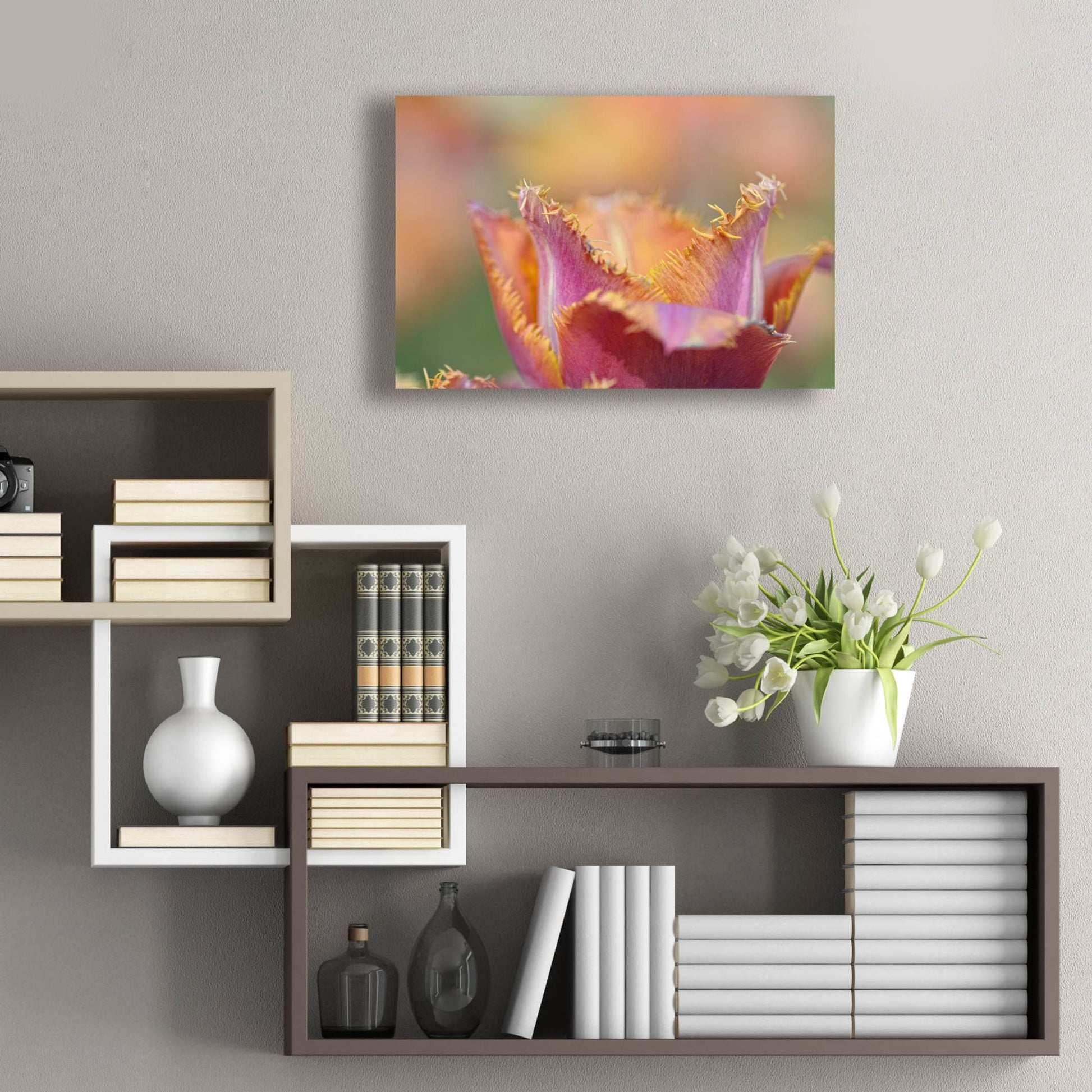 Epic Art 'Tulip Crispa' by Cora Niele, Acrylic Glass Wall Art,24x16