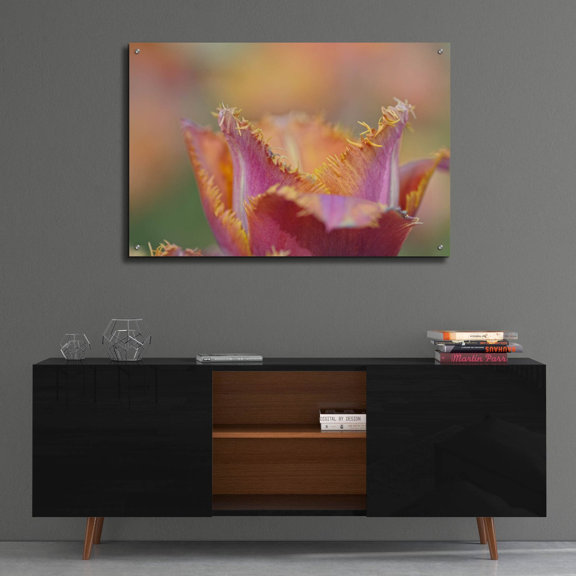 Epic Art 'Tulip Crispa' by Cora Niele, Acrylic Glass Wall Art,36x24