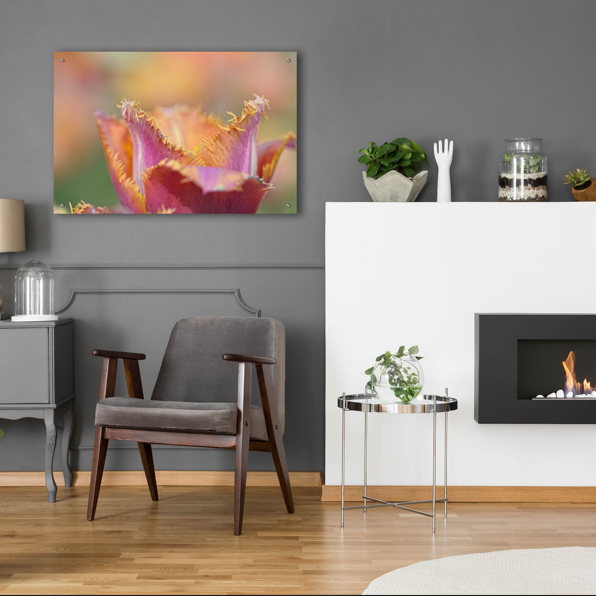 Epic Art 'Tulip Crispa' by Cora Niele, Acrylic Glass Wall Art,36x24