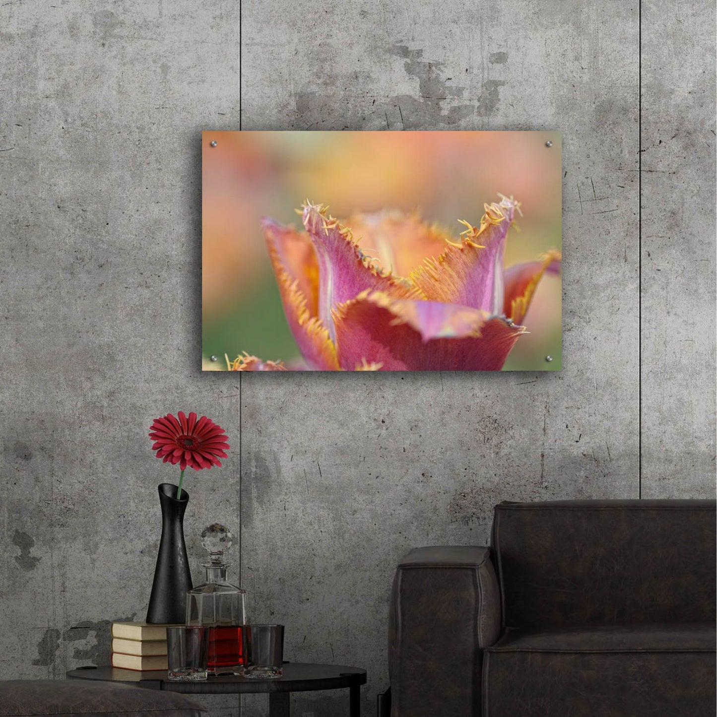 Epic Art 'Tulip Crispa' by Cora Niele, Acrylic Glass Wall Art,36x24