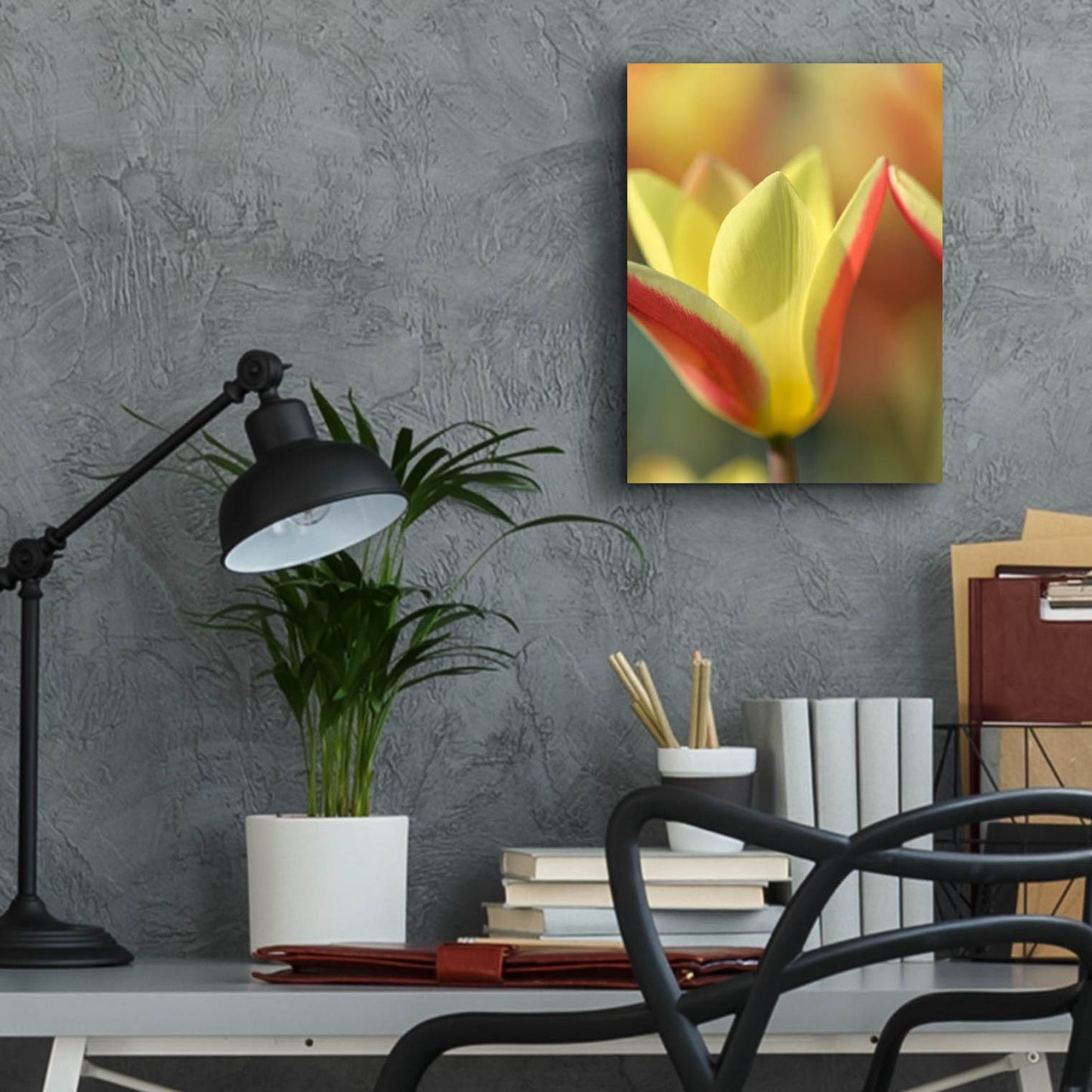 Epic Art 'Tulip Tinka' by Cora Niele, Acrylic Glass Wall Art,12x16