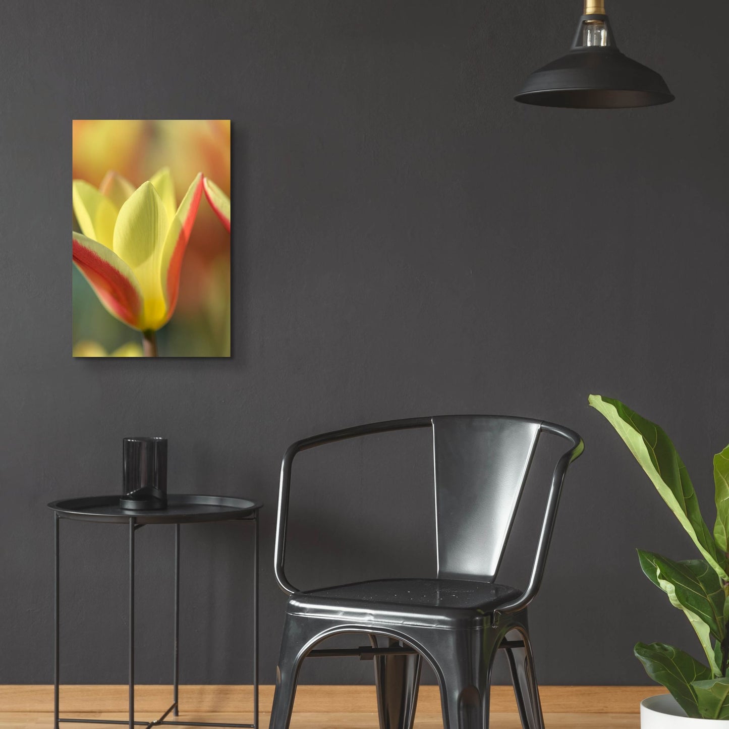 Epic Art 'Tulip Tinka' by Cora Niele, Acrylic Glass Wall Art,16x24