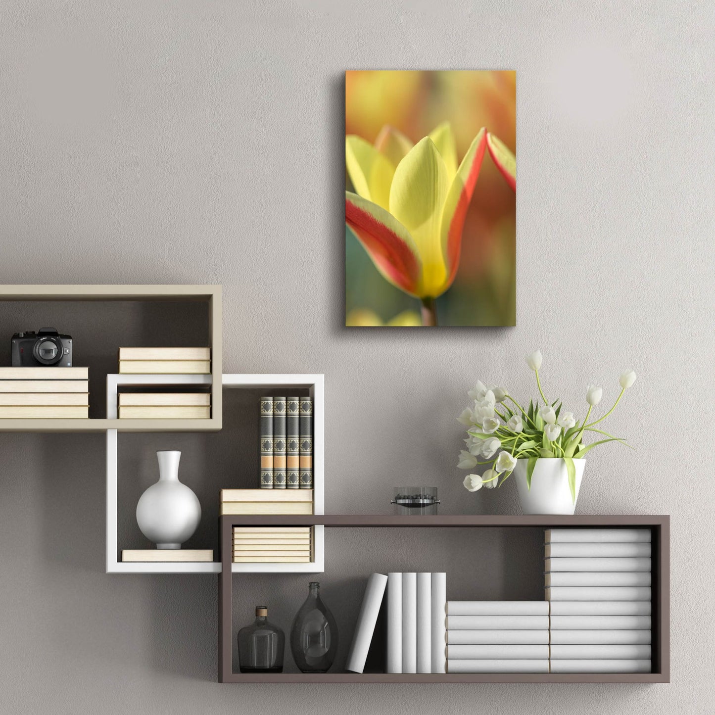 Epic Art 'Tulip Tinka' by Cora Niele, Acrylic Glass Wall Art,16x24