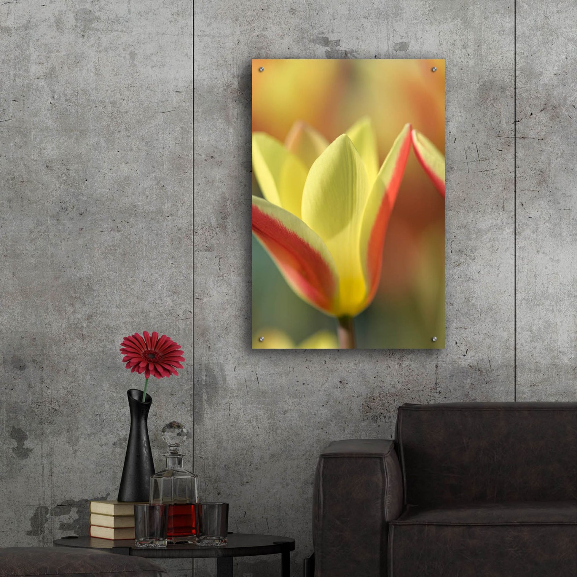 Epic Art 'Tulip Tinka' by Cora Niele, Acrylic Glass Wall Art,24x36