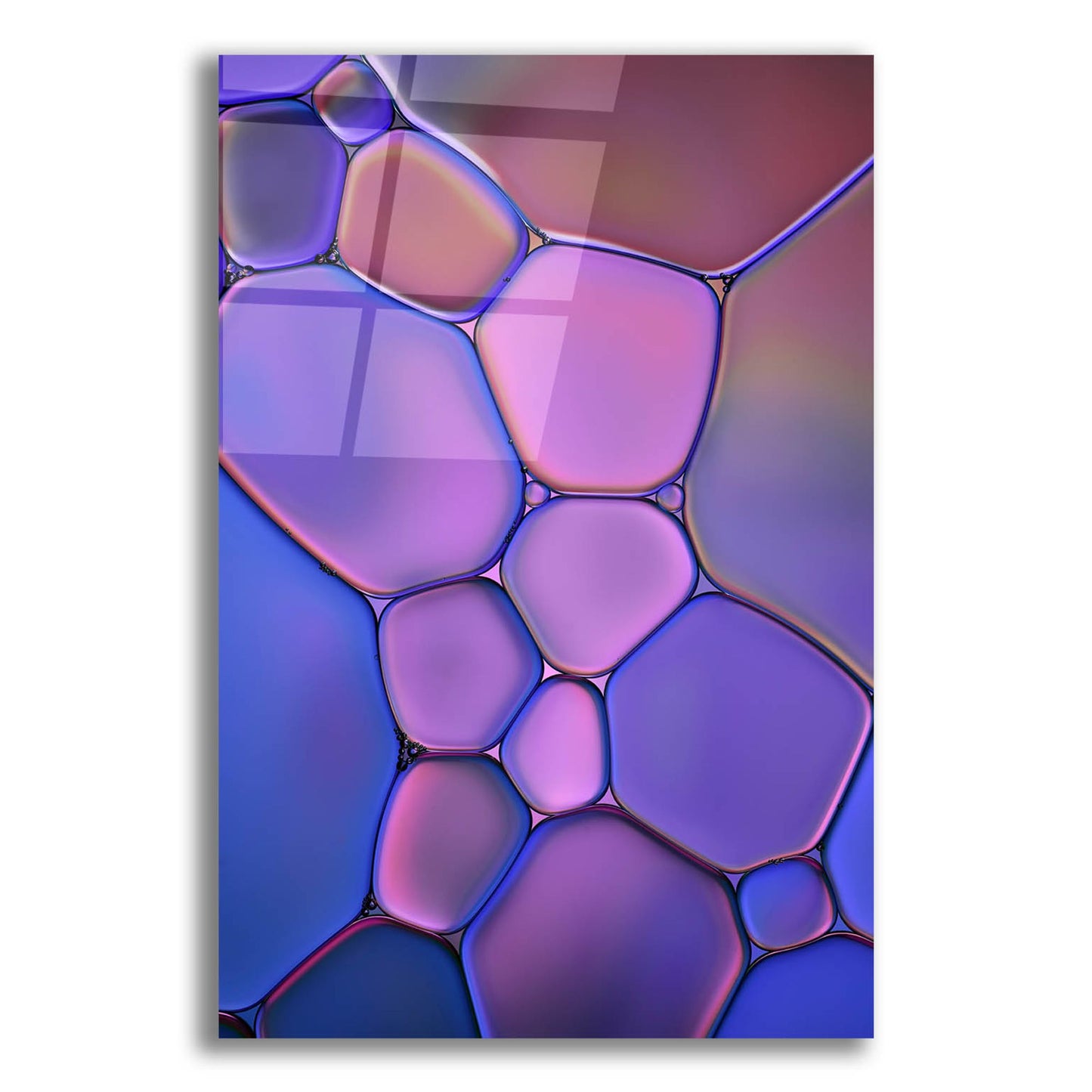 Epic Art 'Purple Stained Glass' by Cora Niele, Acrylic Glass Wall Art,12x16