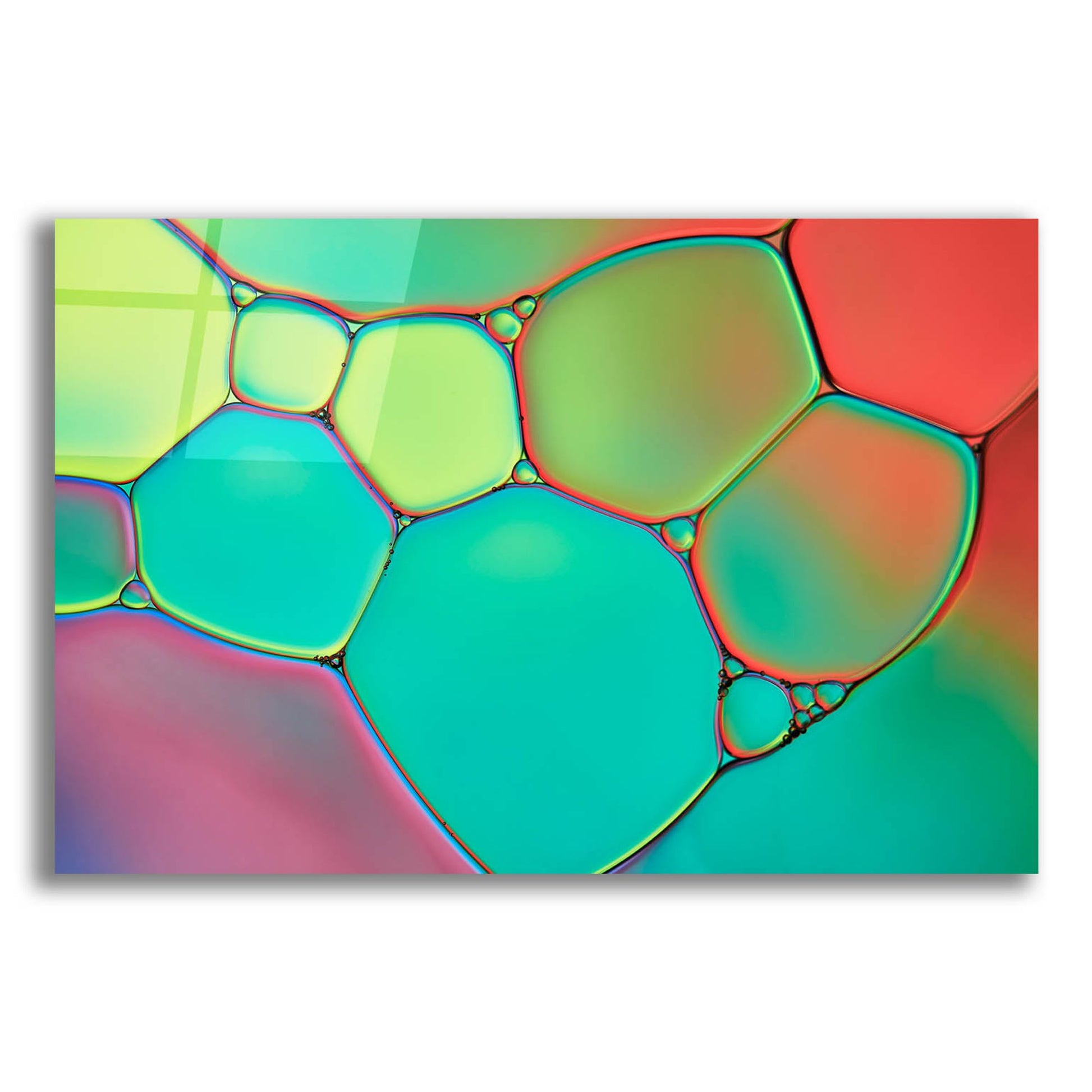 Epic Art 'Stained Glass III' by Cora Niele, Acrylic Glass Wall Art