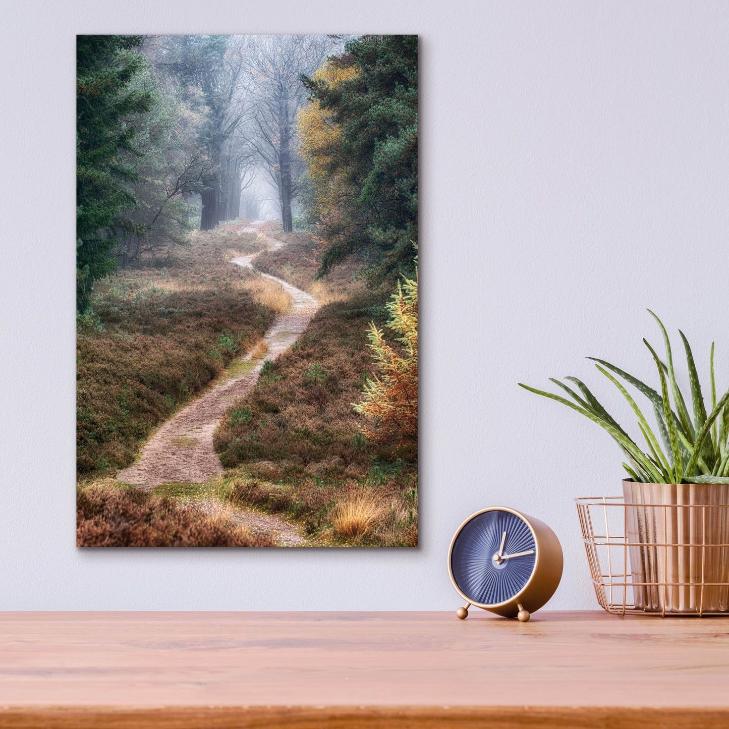 Epic Art 'Hiking Trail' by Cora Niele, Acrylic Glass Wall Art,12x16