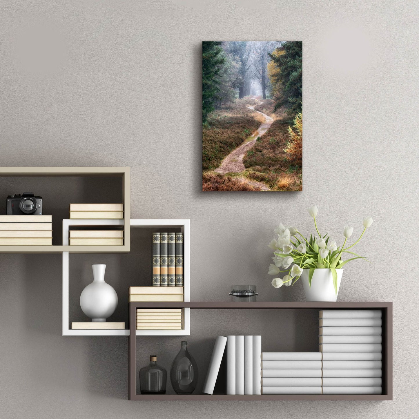 Epic Art 'Hiking Trail' by Cora Niele, Acrylic Glass Wall Art,16x24