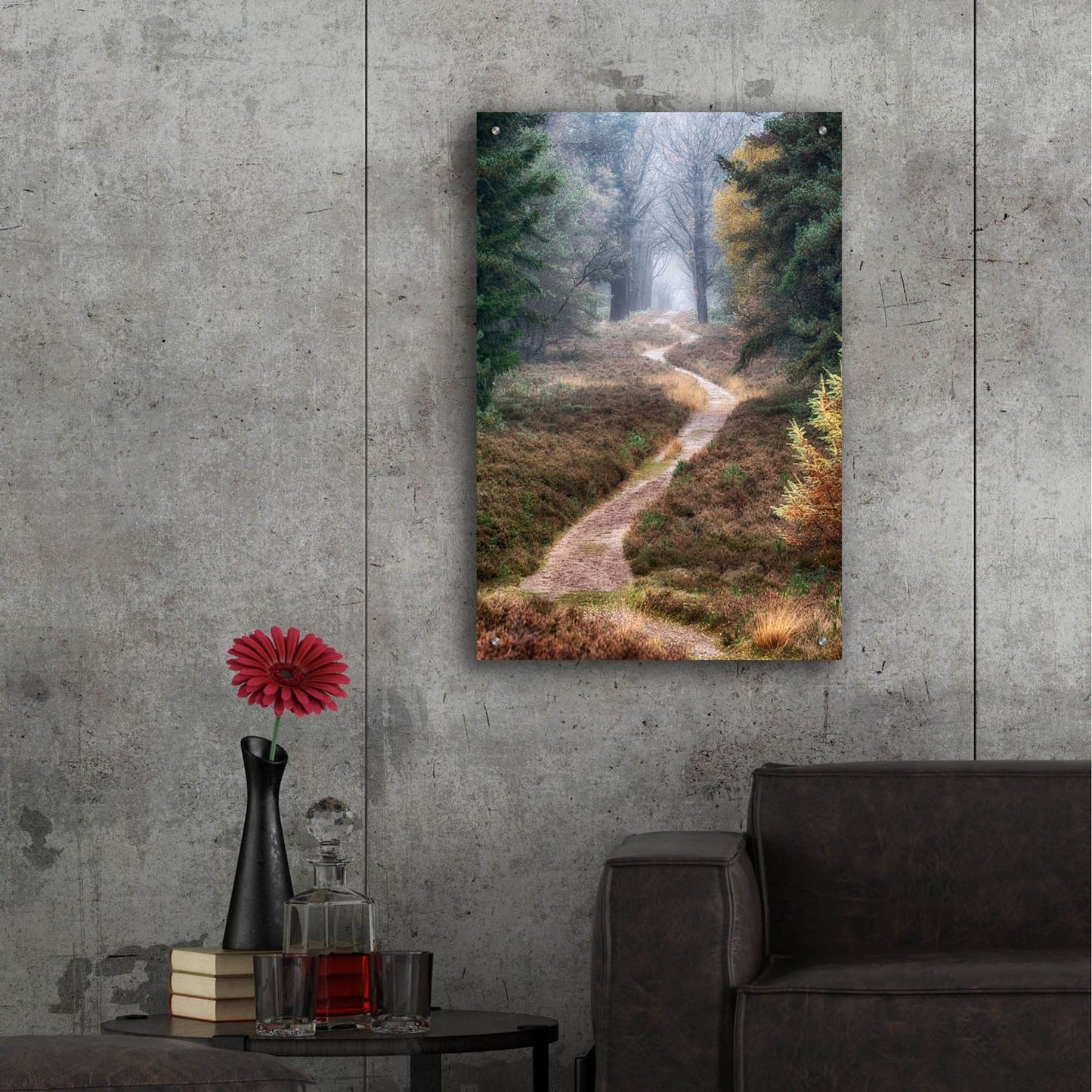 Epic Art 'Hiking Trail' by Cora Niele, Acrylic Glass Wall Art,24x36