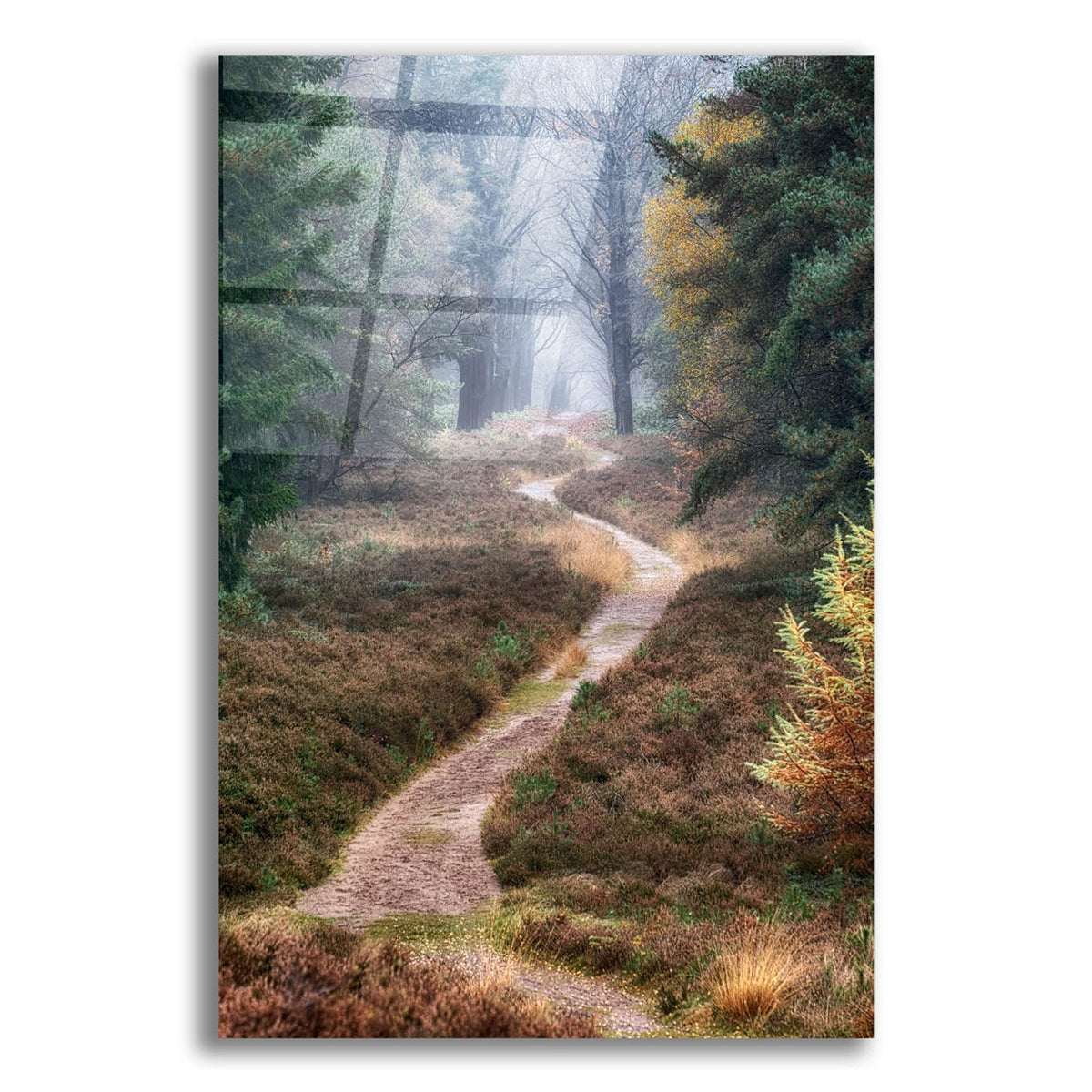 Hiking Trail by Cora Niele acrylic glass wall art