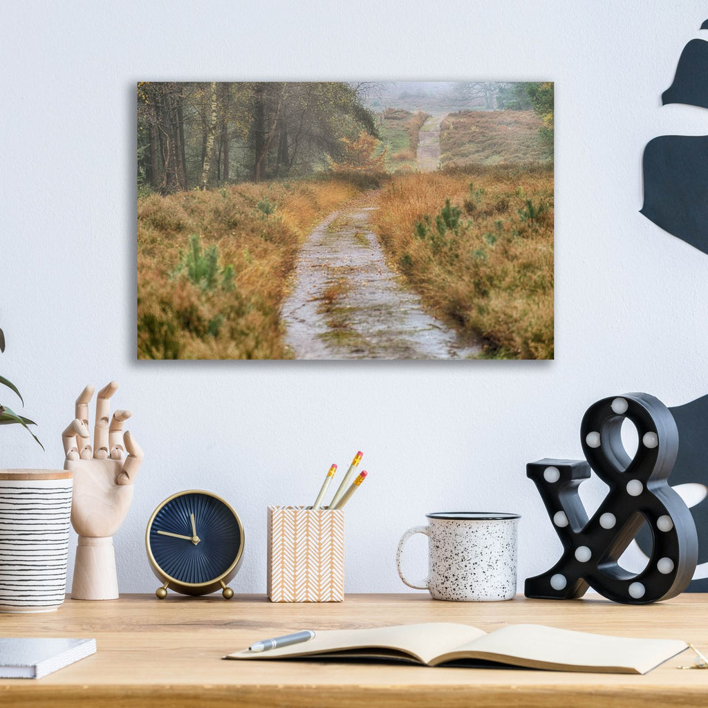 Path by Cora Niele - 16x12 acrylic wall art in a room