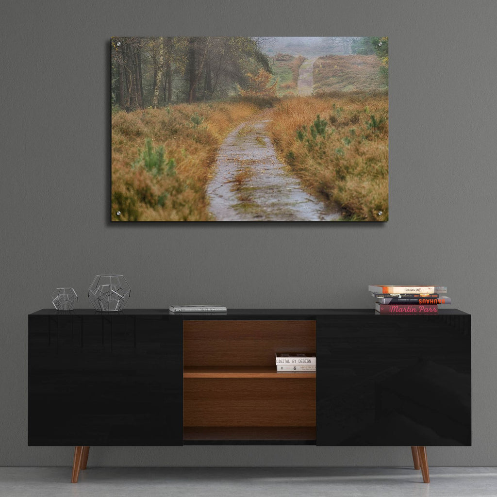 Path by Cora Niele - 36x24 acrylic wall art in a room