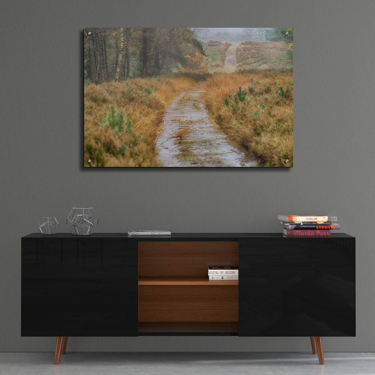 Path by Cora Niele - 36x24 acrylic wall art in a room