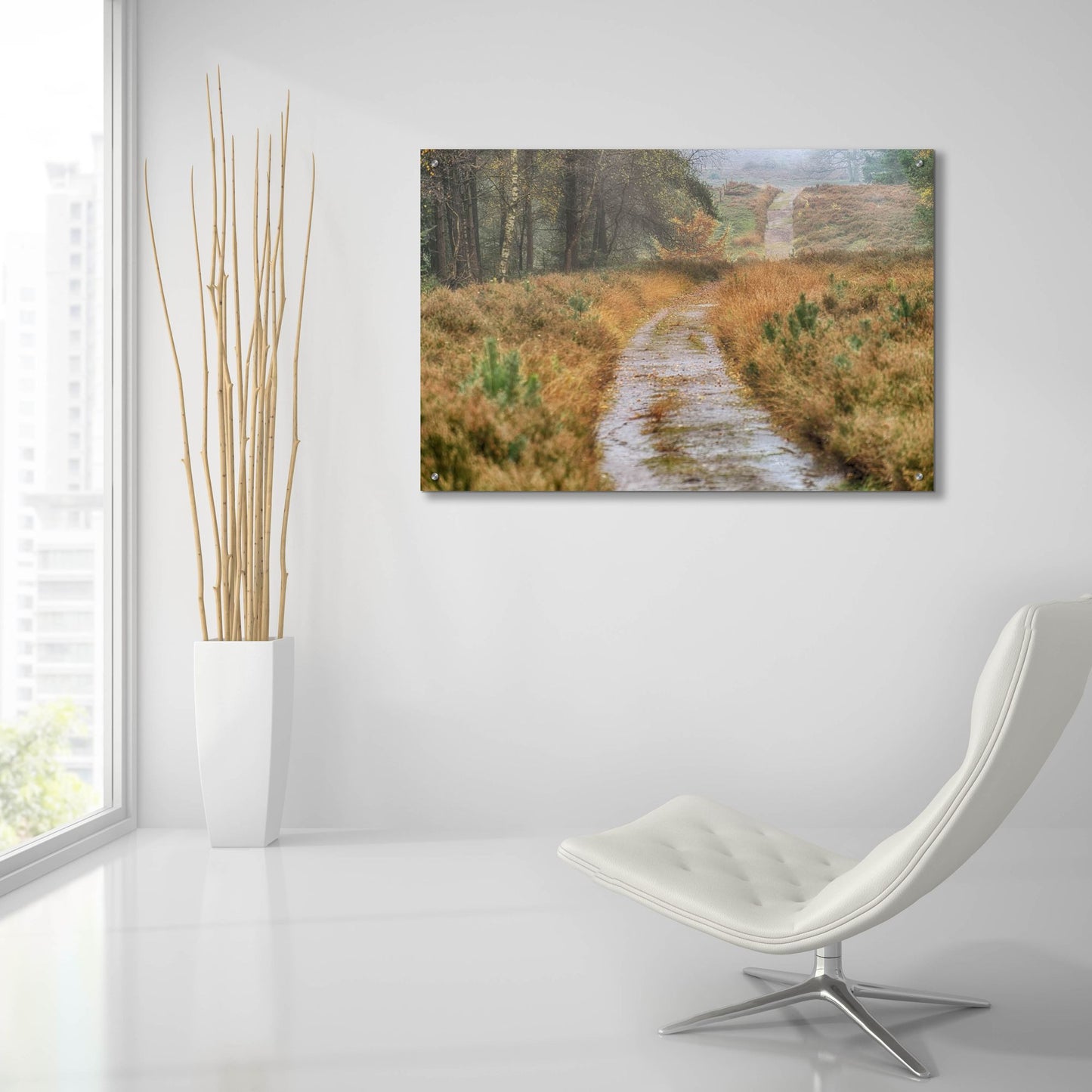 Epic Art 'Path' by Cora Niele, Acrylic Glass Wall Art,36x24