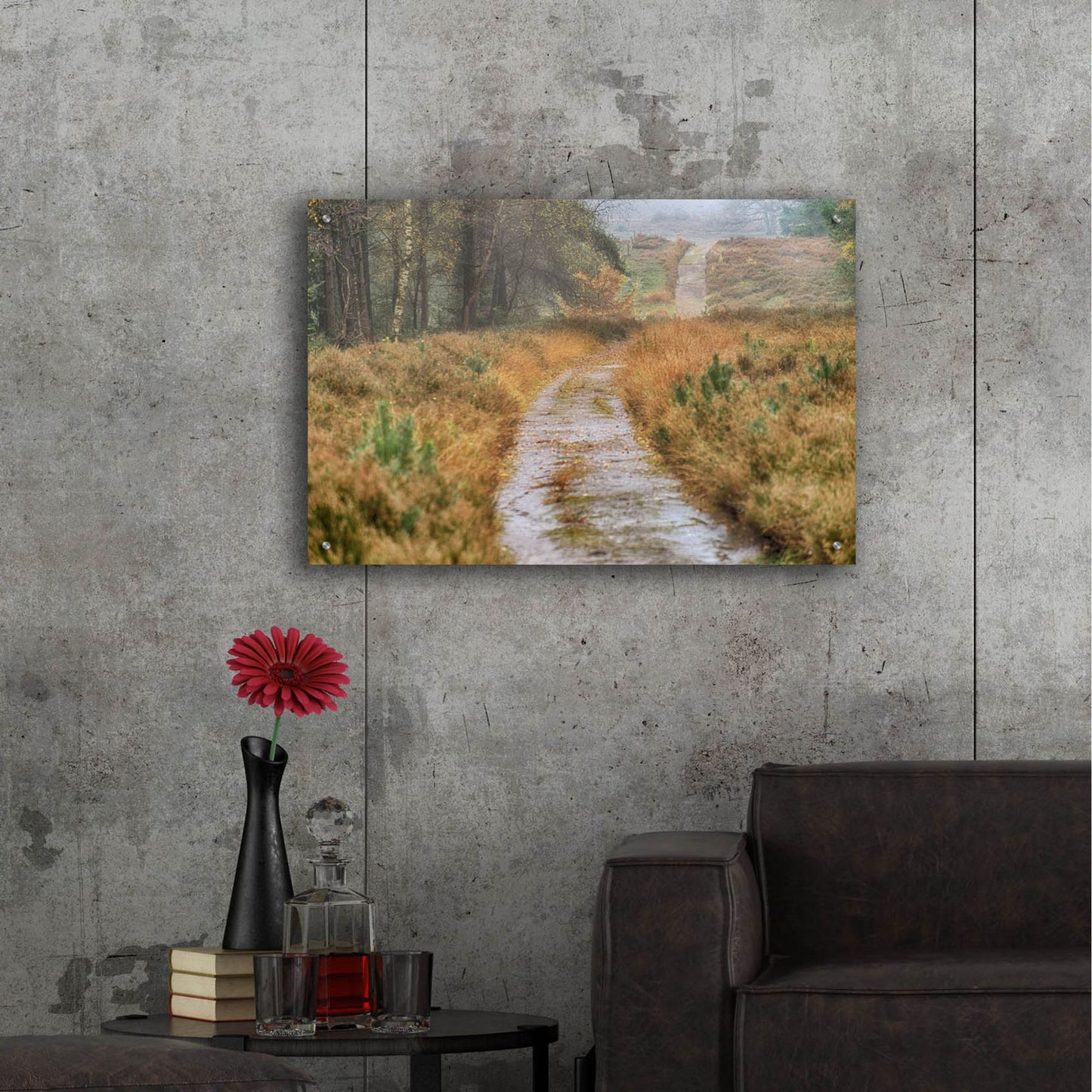 Epic Art 'Path' by Cora Niele, Acrylic Glass Wall Art,36x24