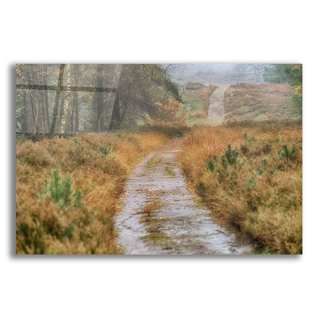 Path by Cora Niele acrylic glass wall art