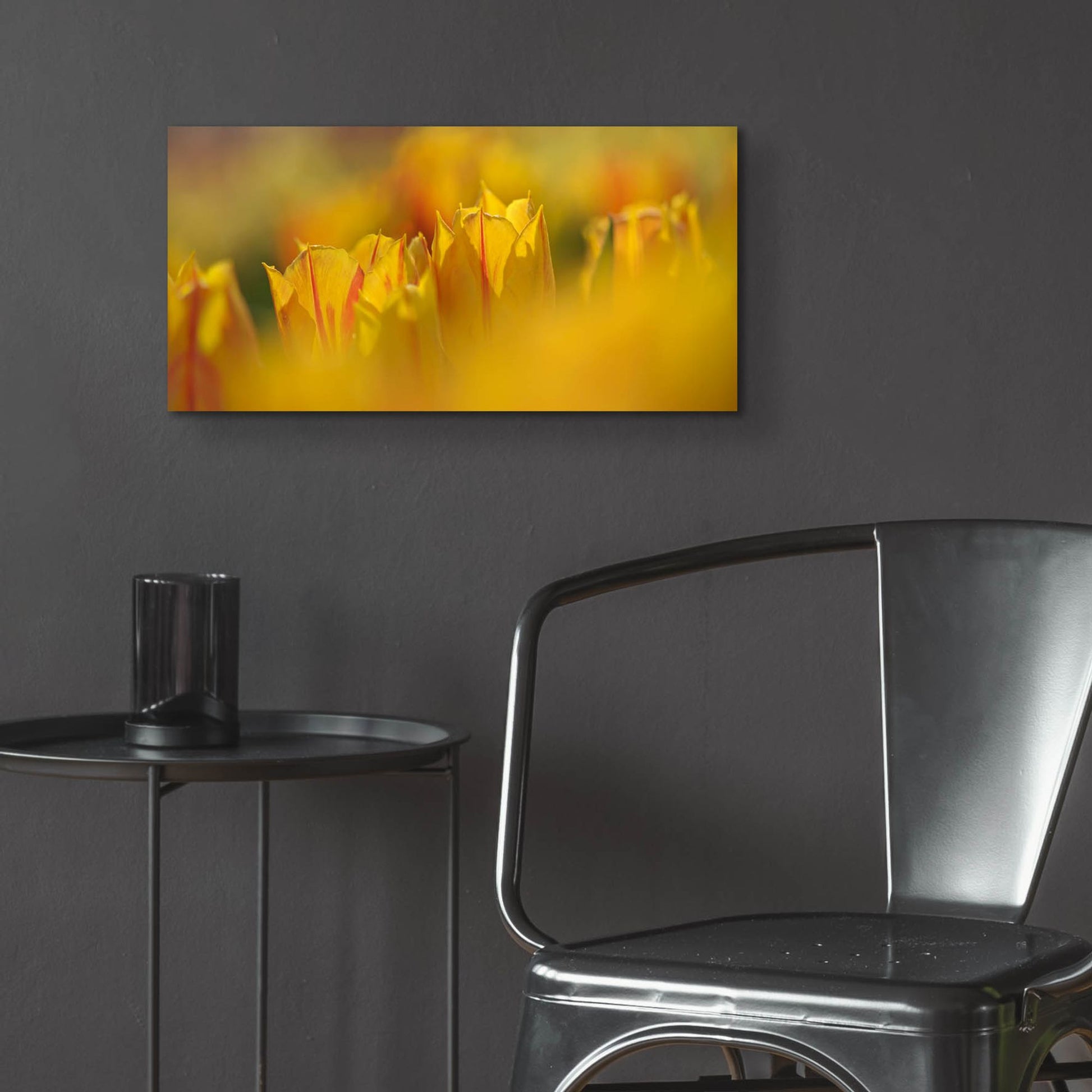 Epic Art 'Aurora Tulips' by Cora Niele, Acrylic Glass Wall Art,24x12