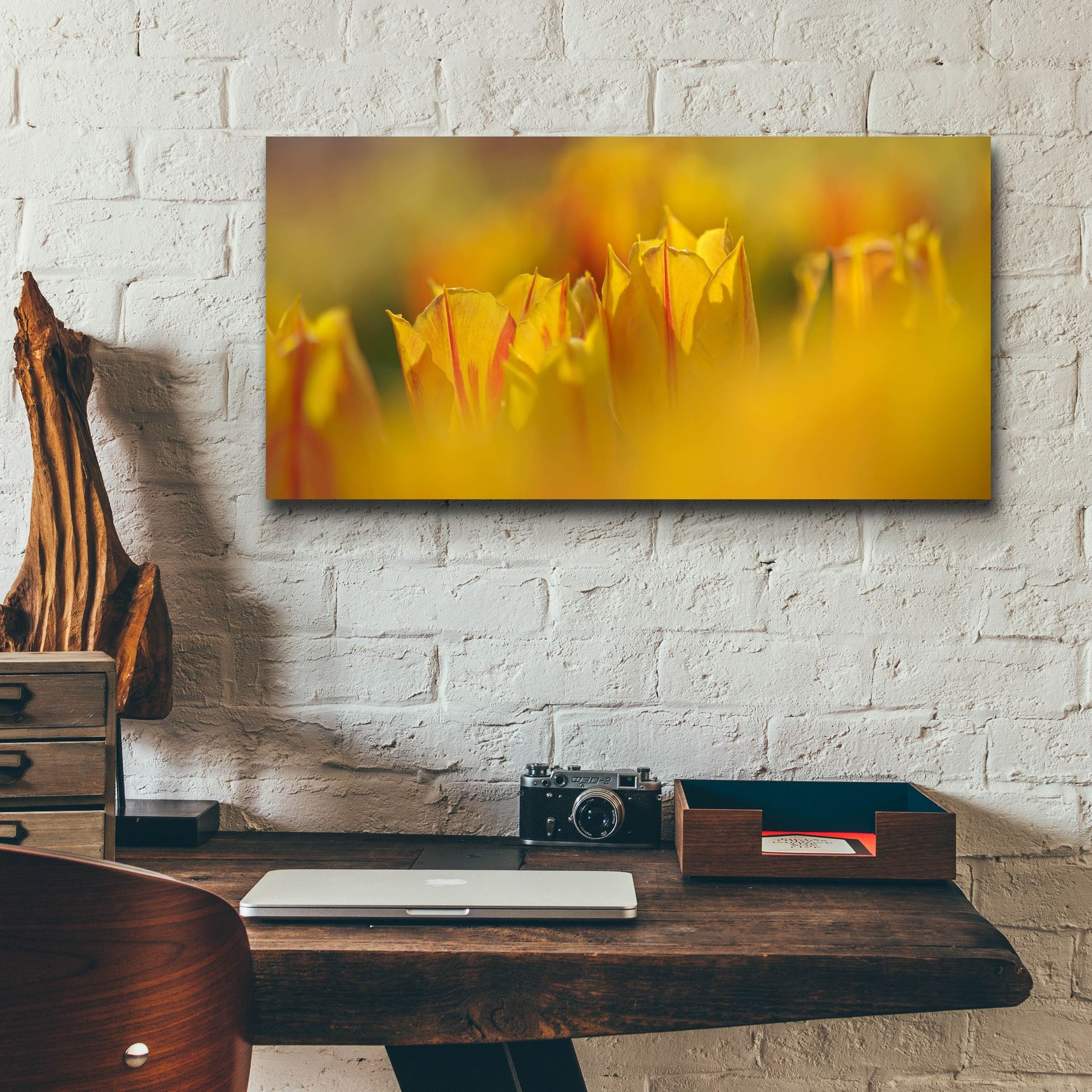 Epic Art 'Aurora Tulips' by Cora Niele, Acrylic Glass Wall Art,24x12