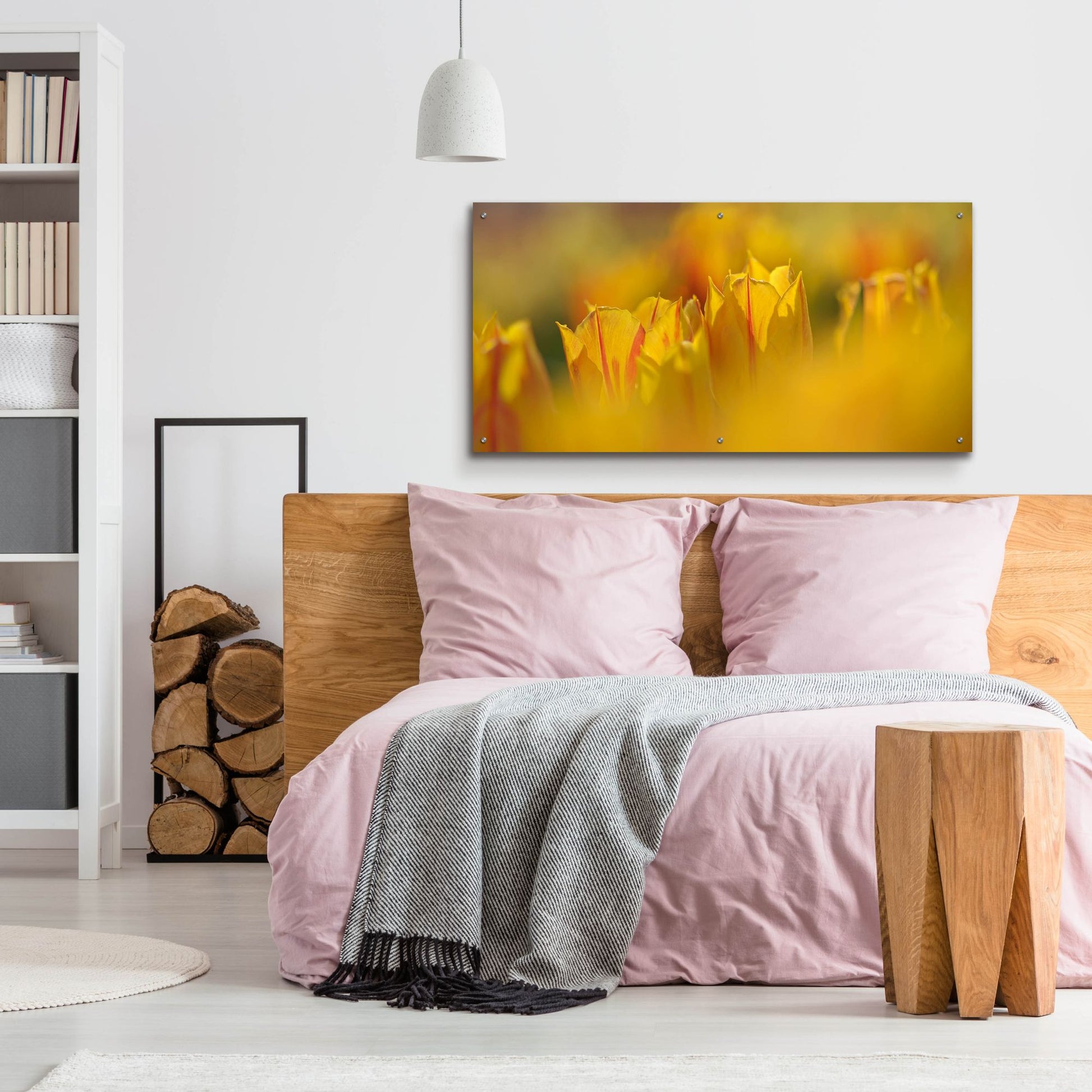 Epic Art 'Aurora Tulips' by Cora Niele, Acrylic Glass Wall Art,48x24