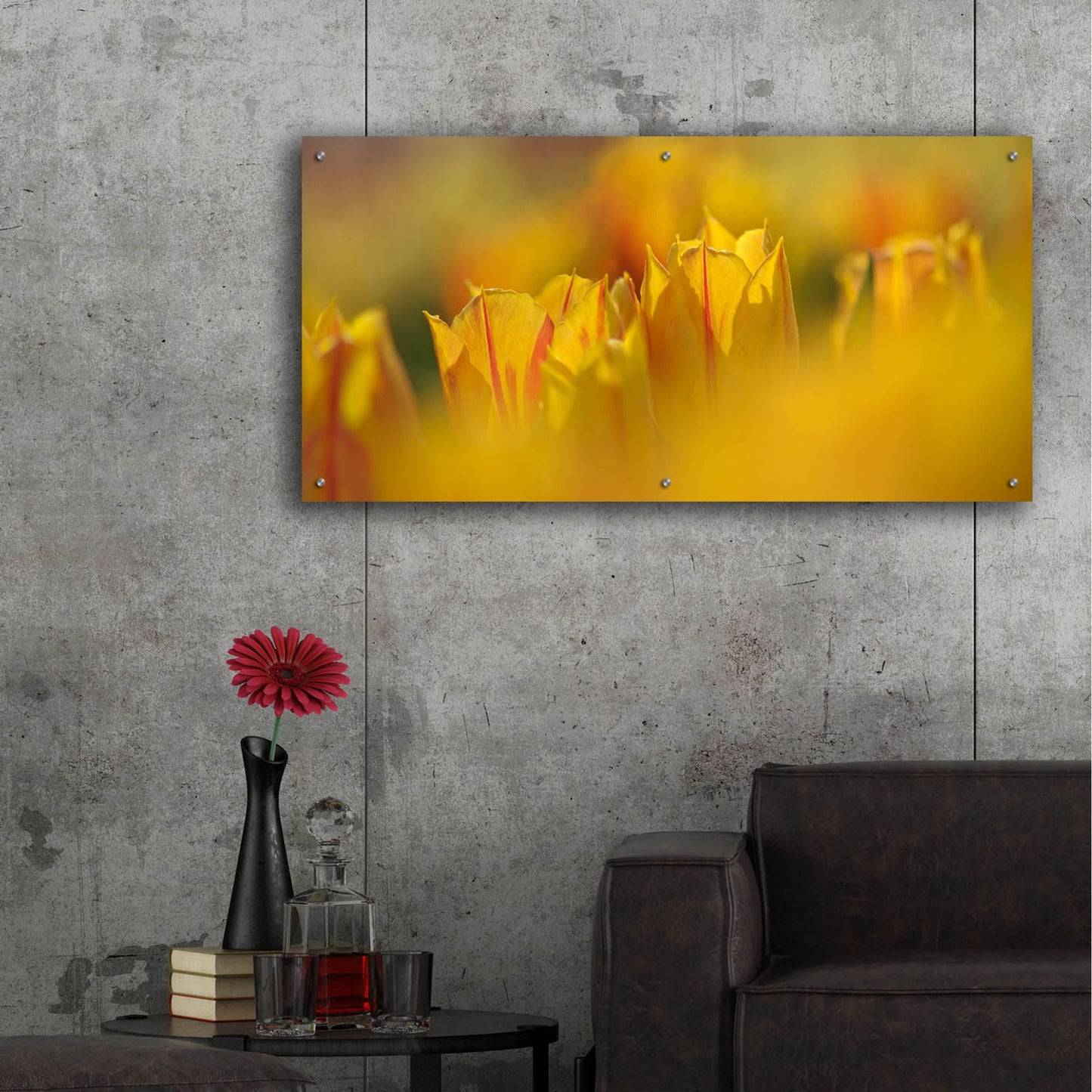 Epic Art 'Aurora Tulips' by Cora Niele, Acrylic Glass Wall Art,48x24