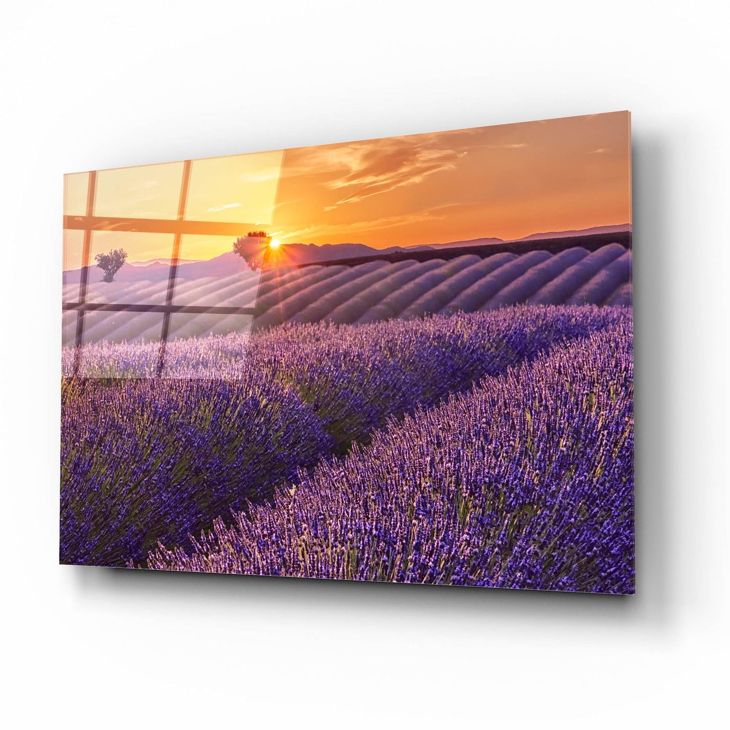 Epic Art 'Lavender Field at Sunset' by Cora Niele, Acrylic Glass Wall Art,16x12