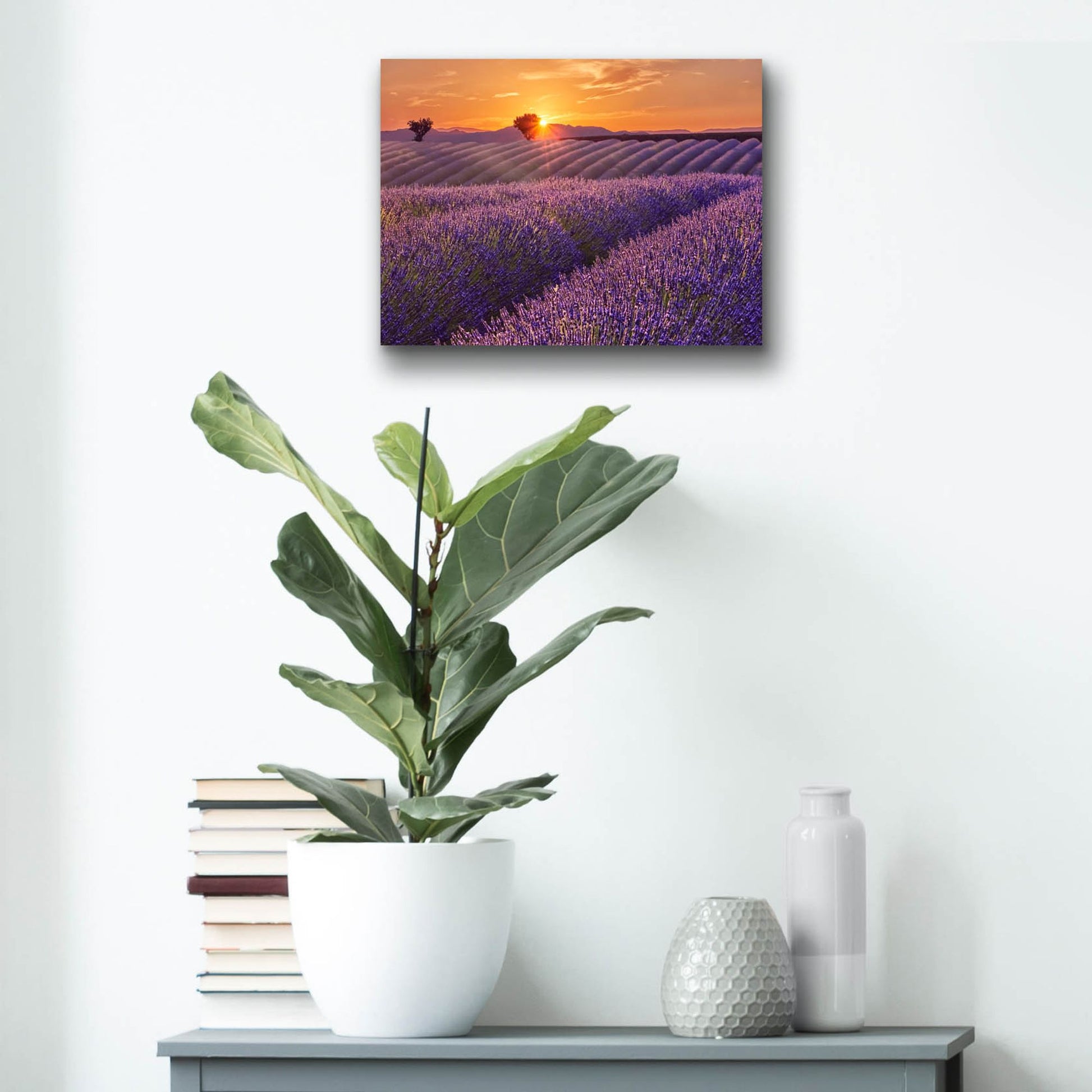 Epic Art 'Lavender Field at Sunset' by Cora Niele, Acrylic Glass Wall Art,16x12