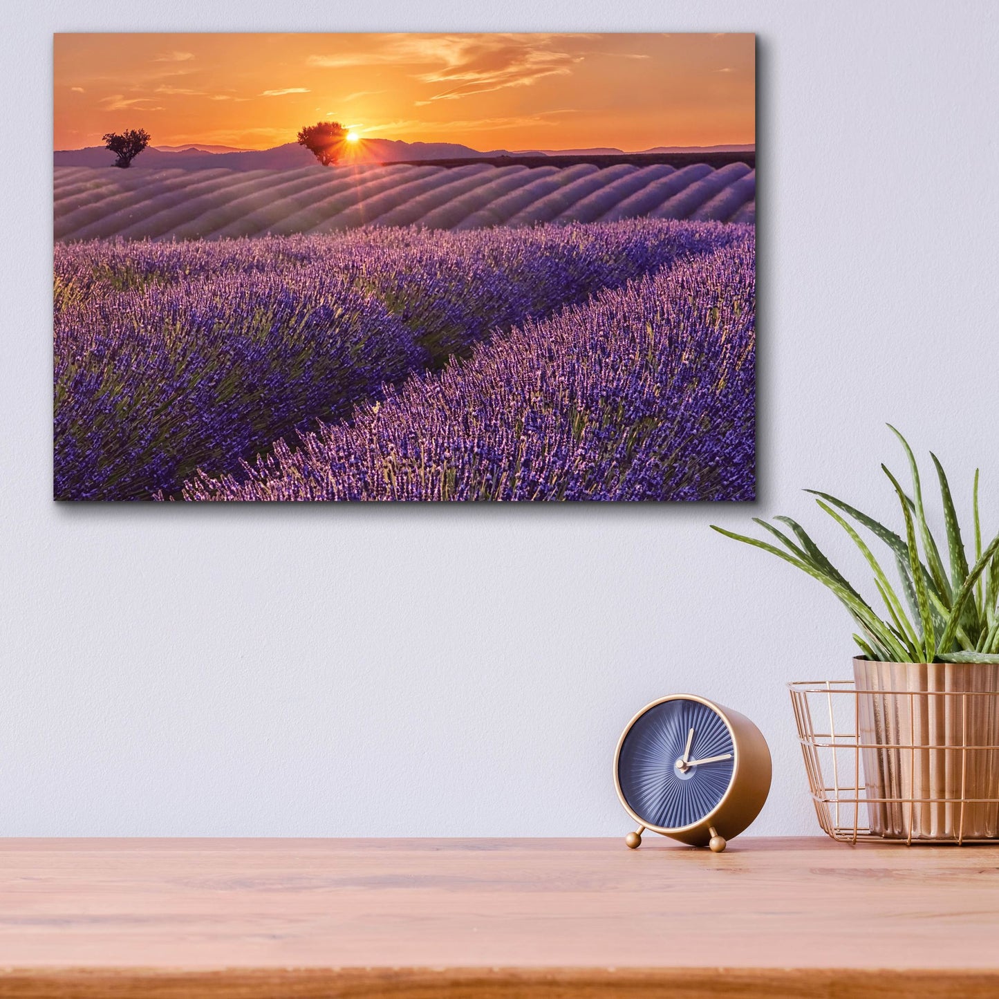 Epic Art 'Lavender Field at Sunset' by Cora Niele, Acrylic Glass Wall Art,16x12