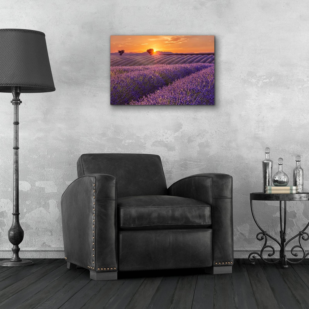 Lavender Field at Sunset by Cora Niele - 24x16 acrylic wall art in a room
