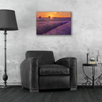 Lavender Field at Sunset by Cora Niele - 24x16 acrylic wall art in a room
